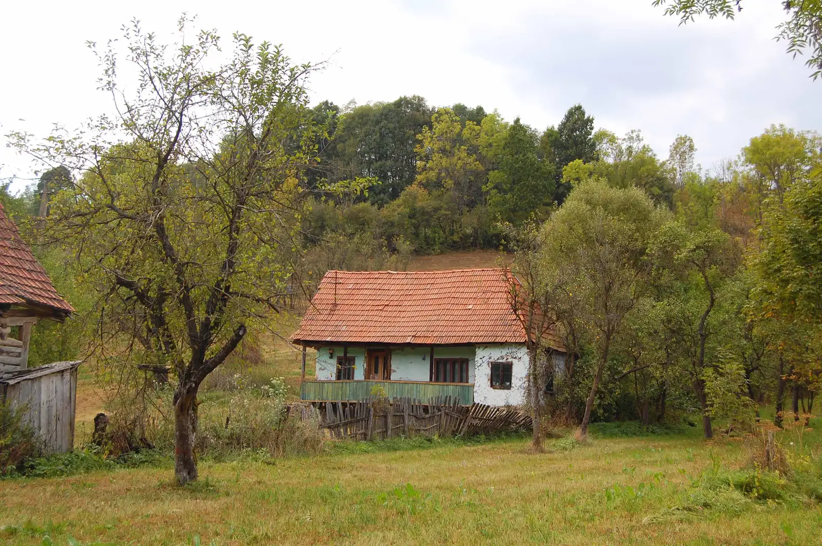 satul Băcia - satul Cheile Cibului - DC207