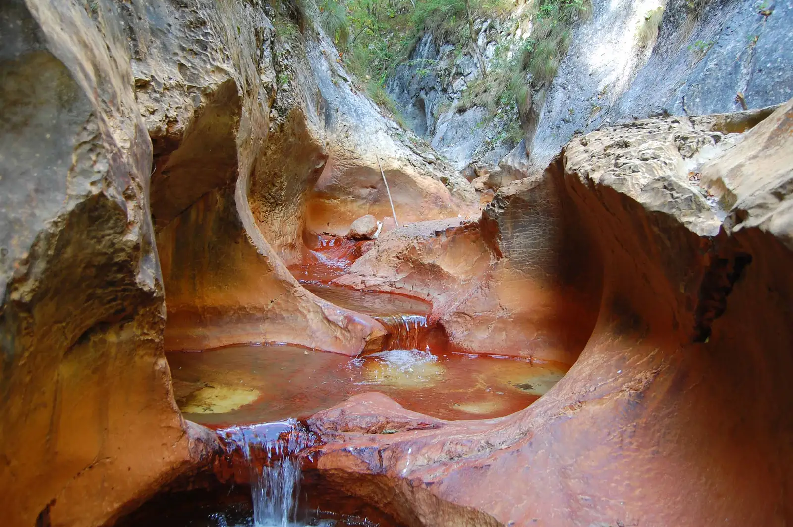 satul Cheile Cibului - Cheile Glodului (intrare) - Ruptura - satul Ardeu