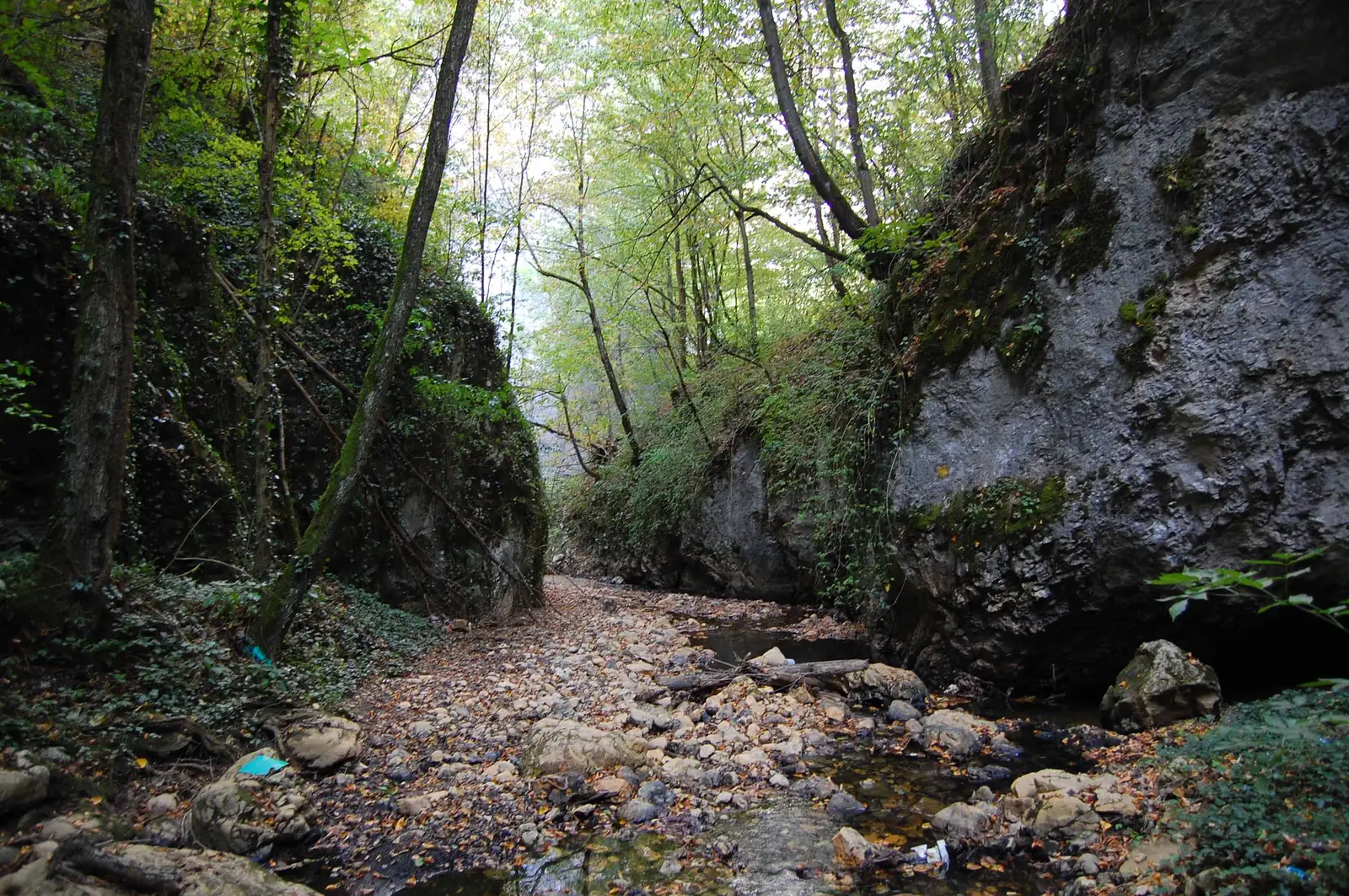 satul Ardeu - Cheile Ardeu - DJ705