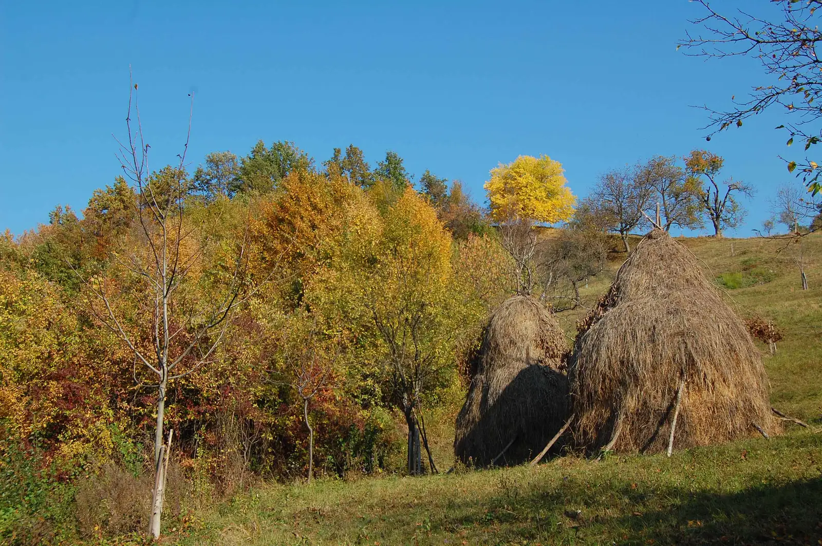 satul Brazii - lângă Vf. Fântâna lui Șarpe - Vf. Pleșu