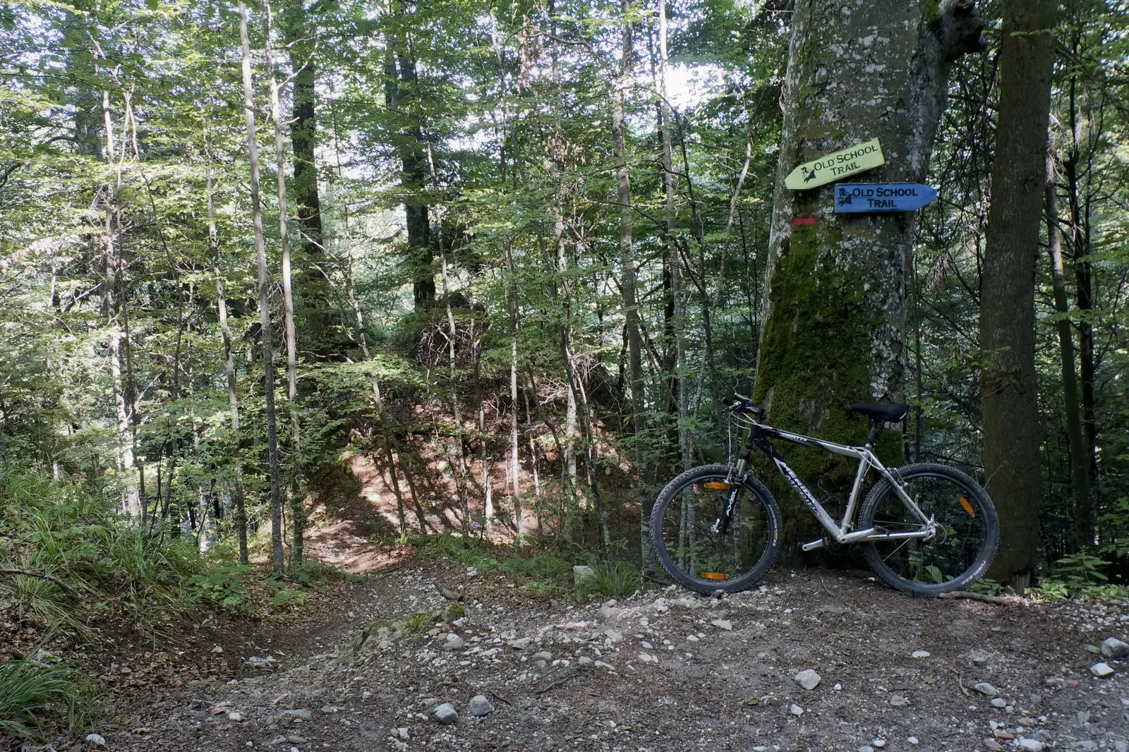 Traseu all mountain Old School - Bike Resort Sinaia