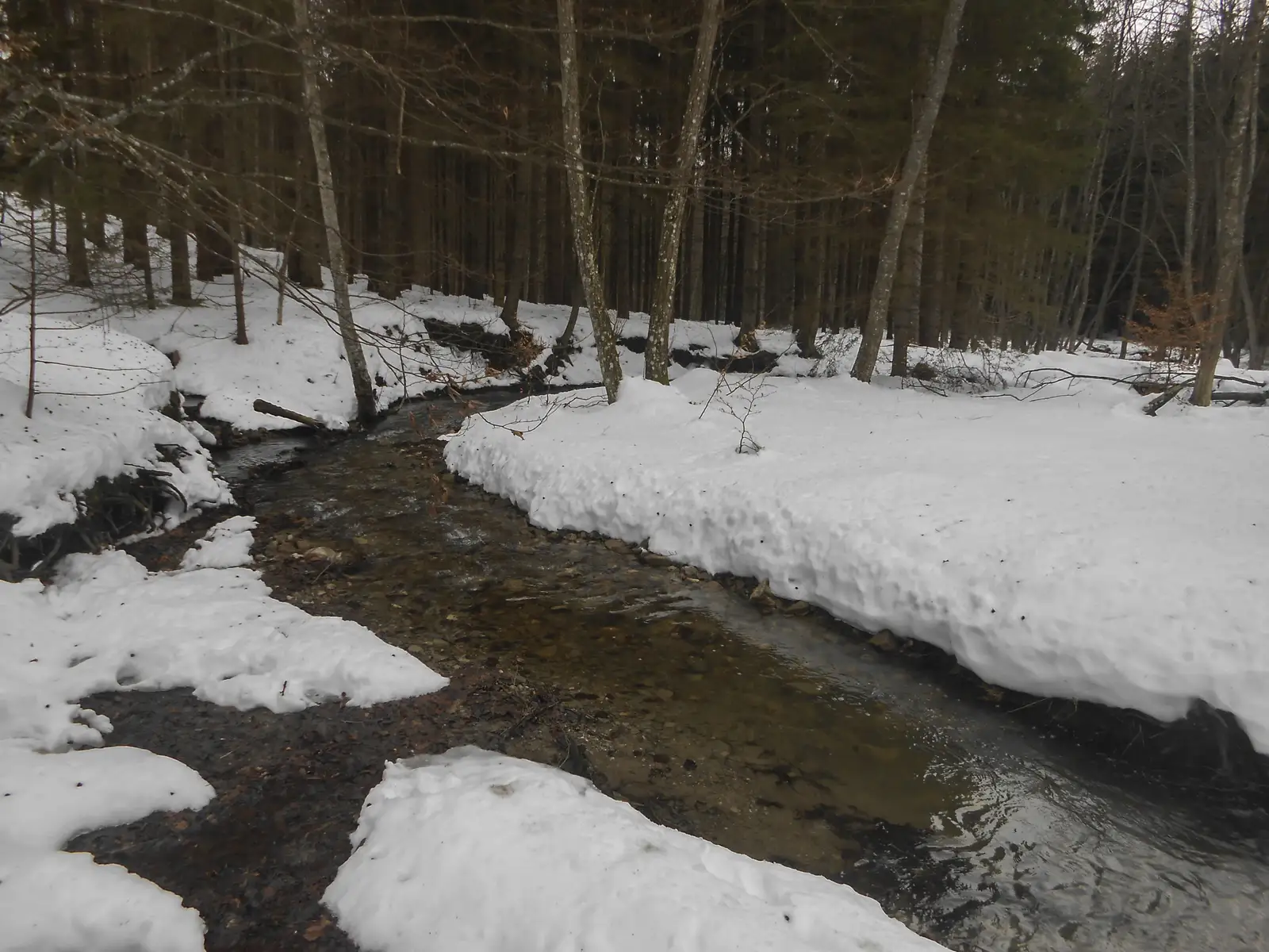 Cheia - Curmătura Stânii - Cabana Vf. Ciucaş
