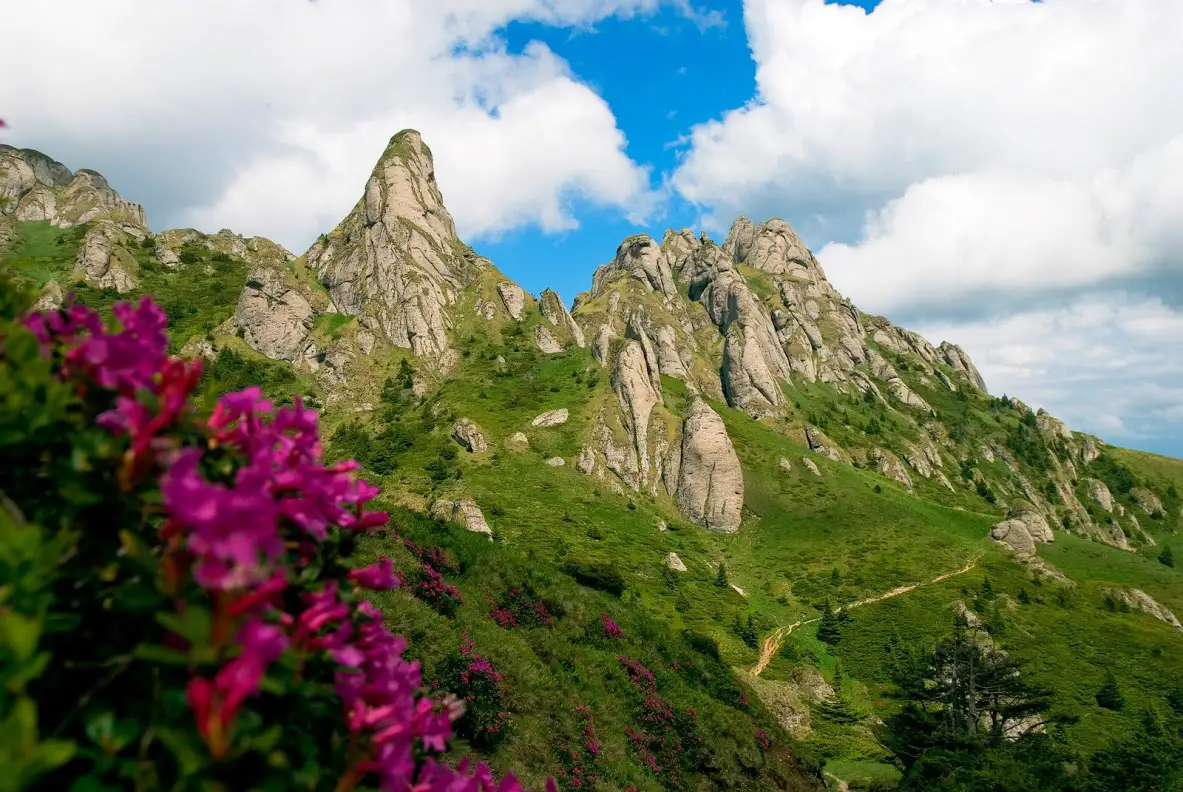 Podul Teslei - Şaua Tigăilor - Cabana Vf. Ciucaş