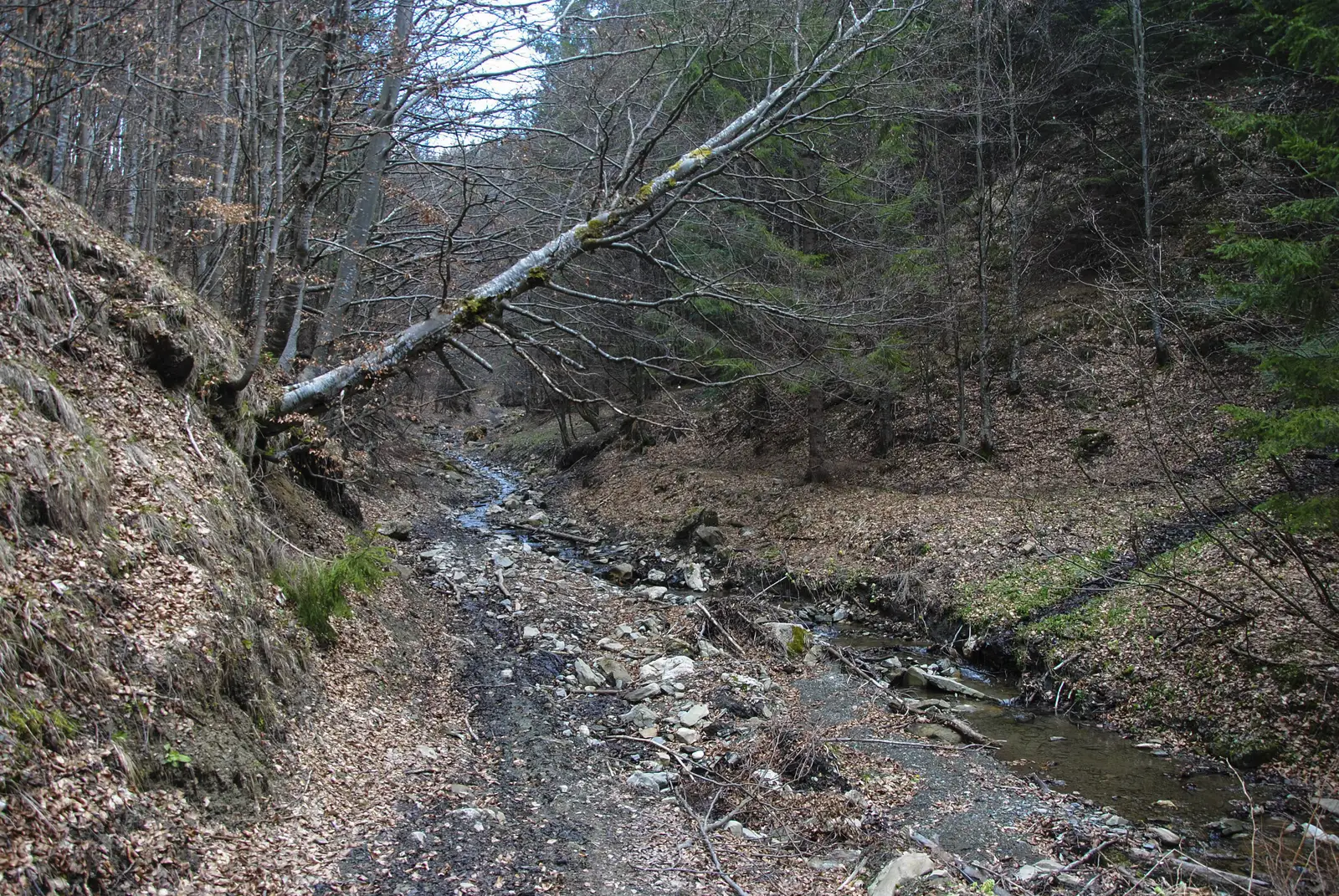 V. Berii - Cabana M. Roşu