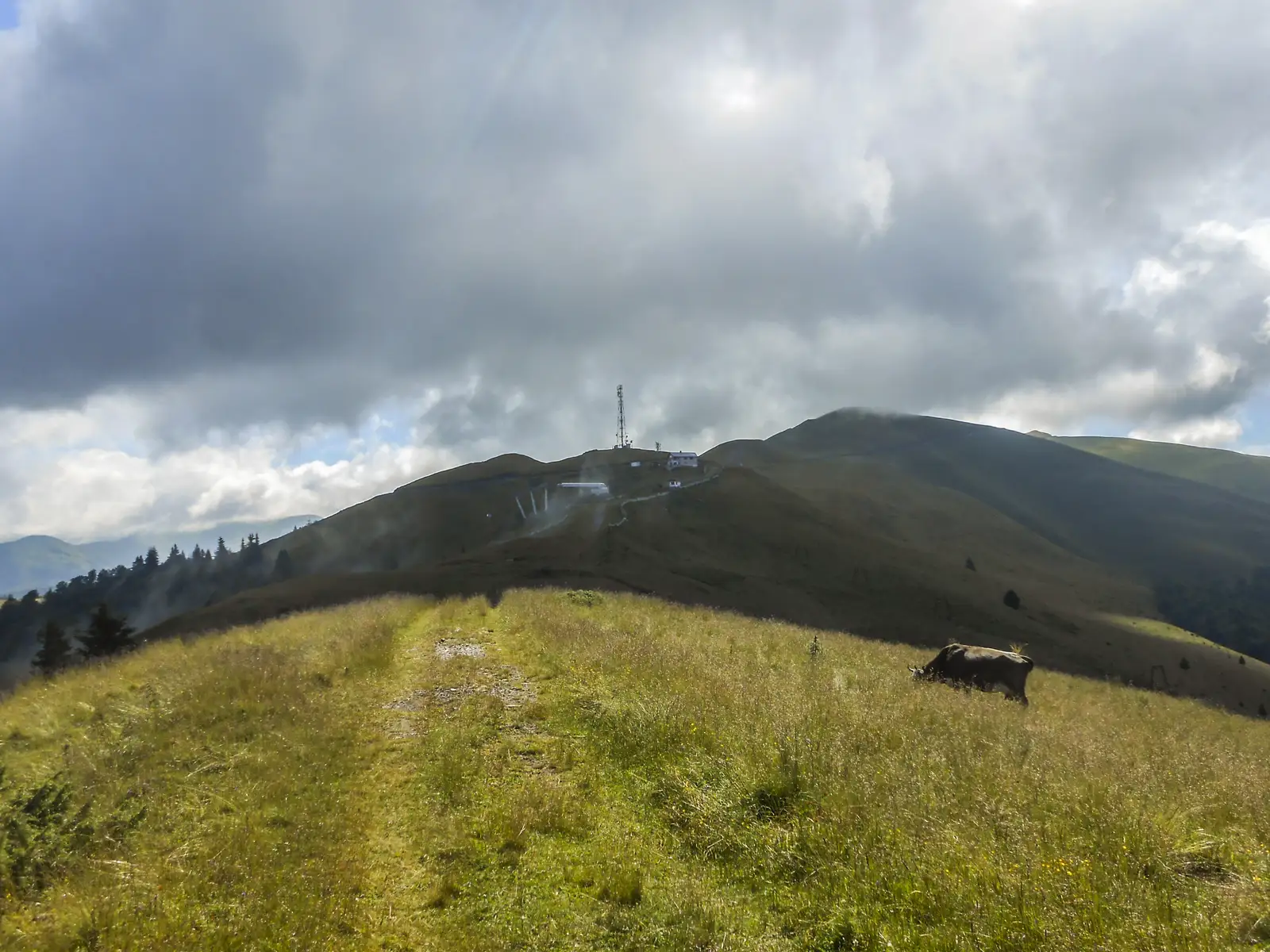 Azuga - Piciorul Sorica - Telegondola Azuga