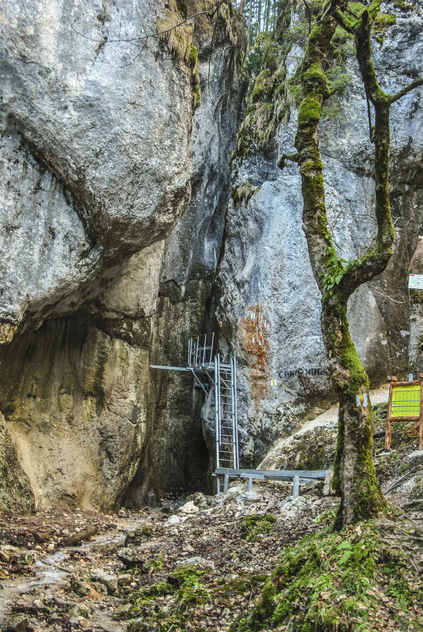 Dâmbul Morii - Canionul 7 Scări - Cabana Piatra Mare