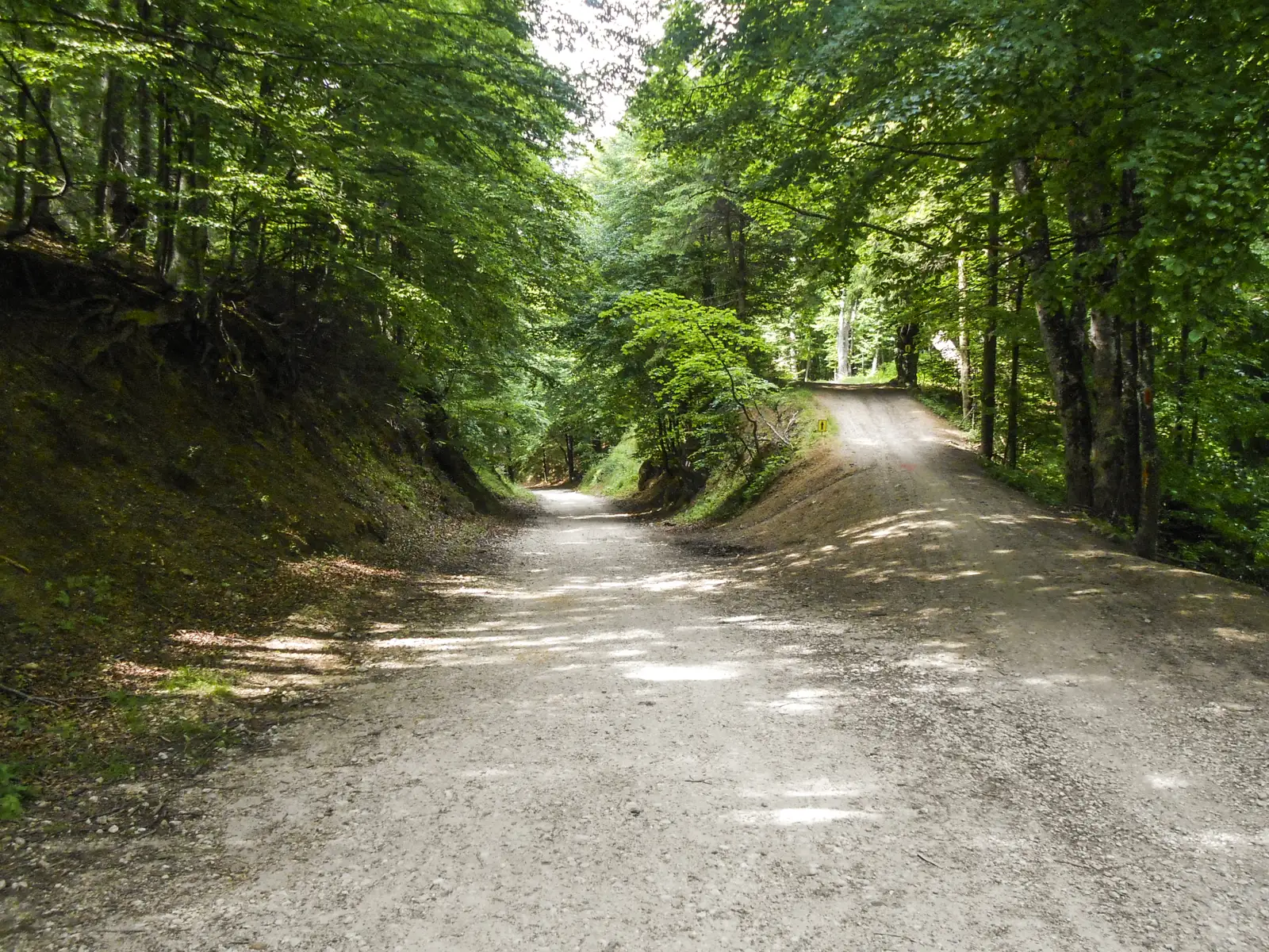 Braşov - Poiana Braşov