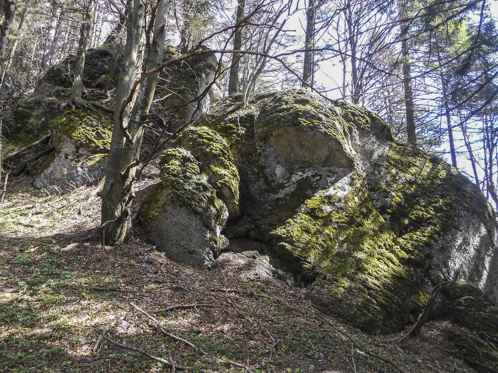 Braşov (Valea Cetăţii) - Kermen - Poiana Ruia -  Cabana Postăvaru