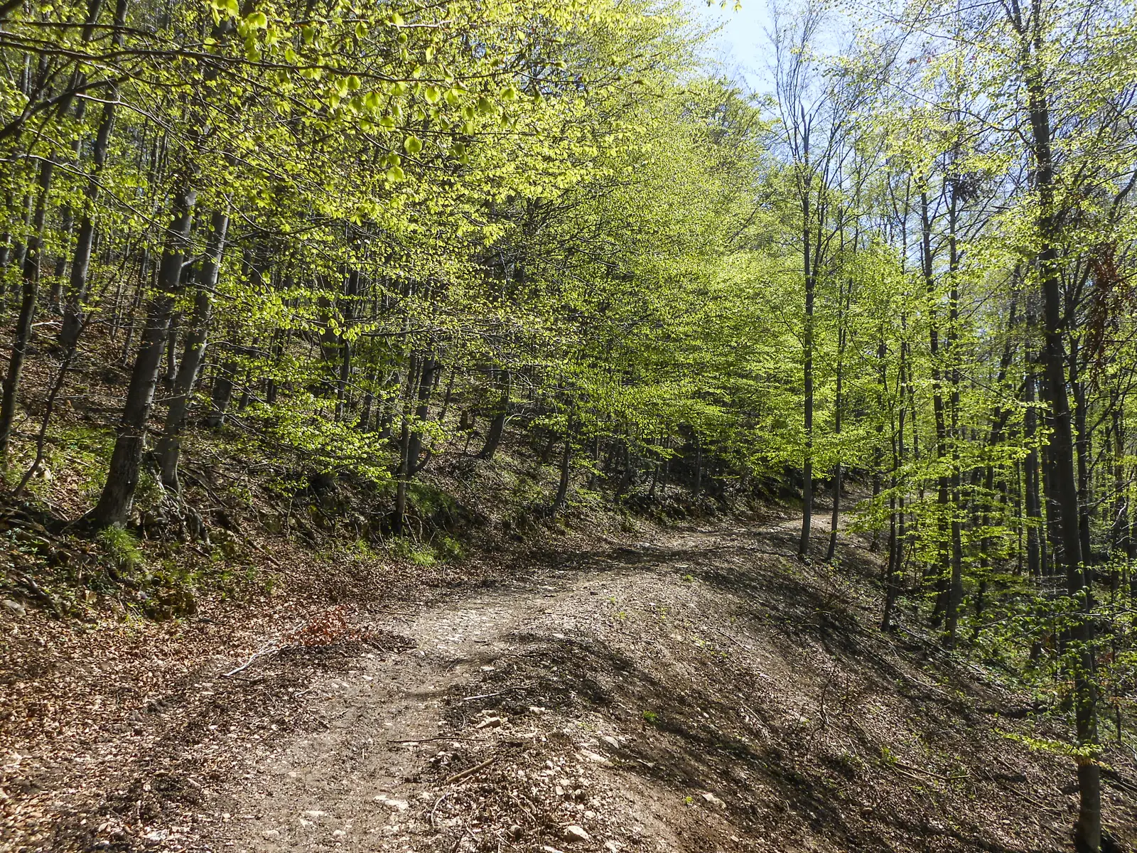 Dâmbul Morii - fosta Cabană Bunloc
