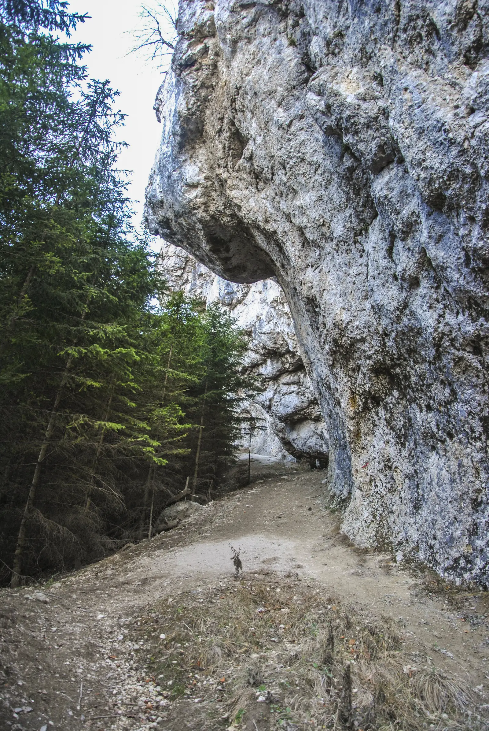 Dâmbul Morii - Poteca Ţiganilor - spre Peştera de Gheaţă