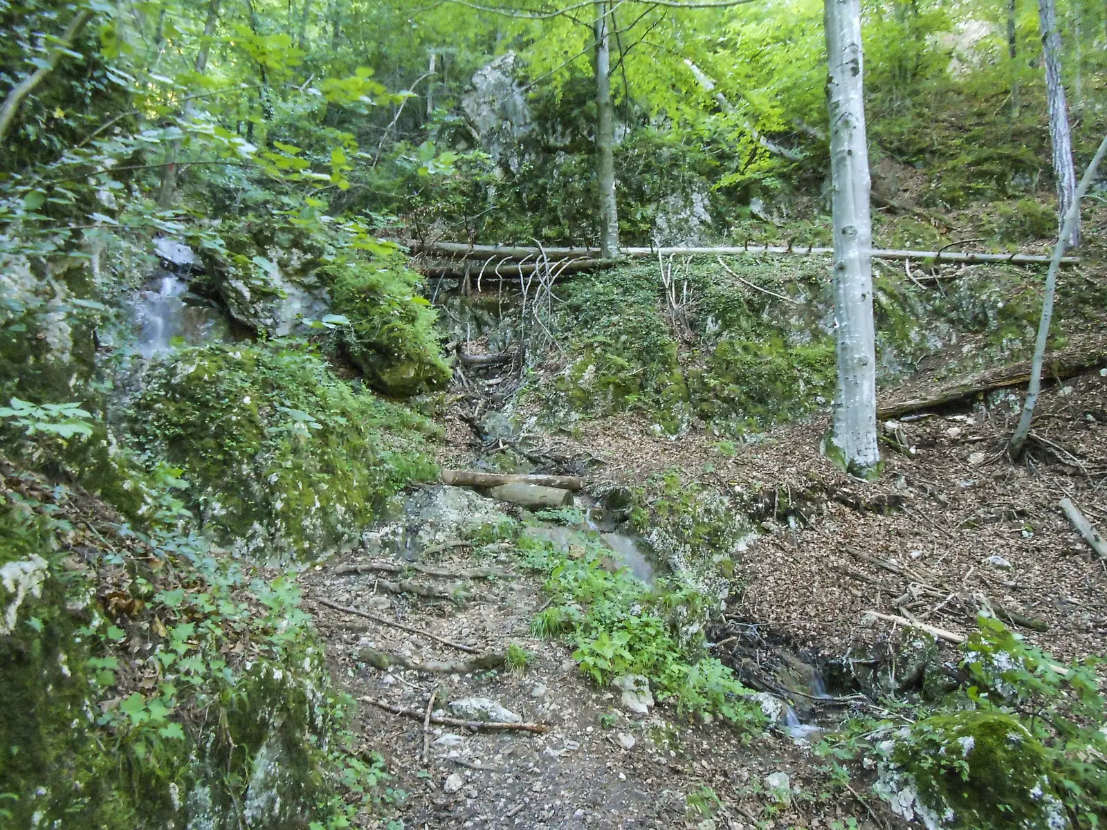 Braşov - Vâlcelul Dracului - Stejerişul Mare