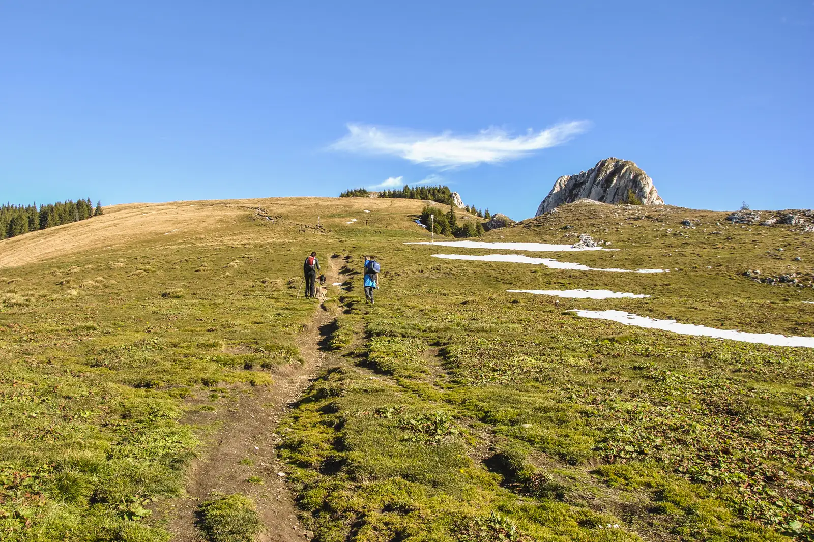 Predeal - Şaua Pietricica - sub Vf. Piatra Mare-versiune