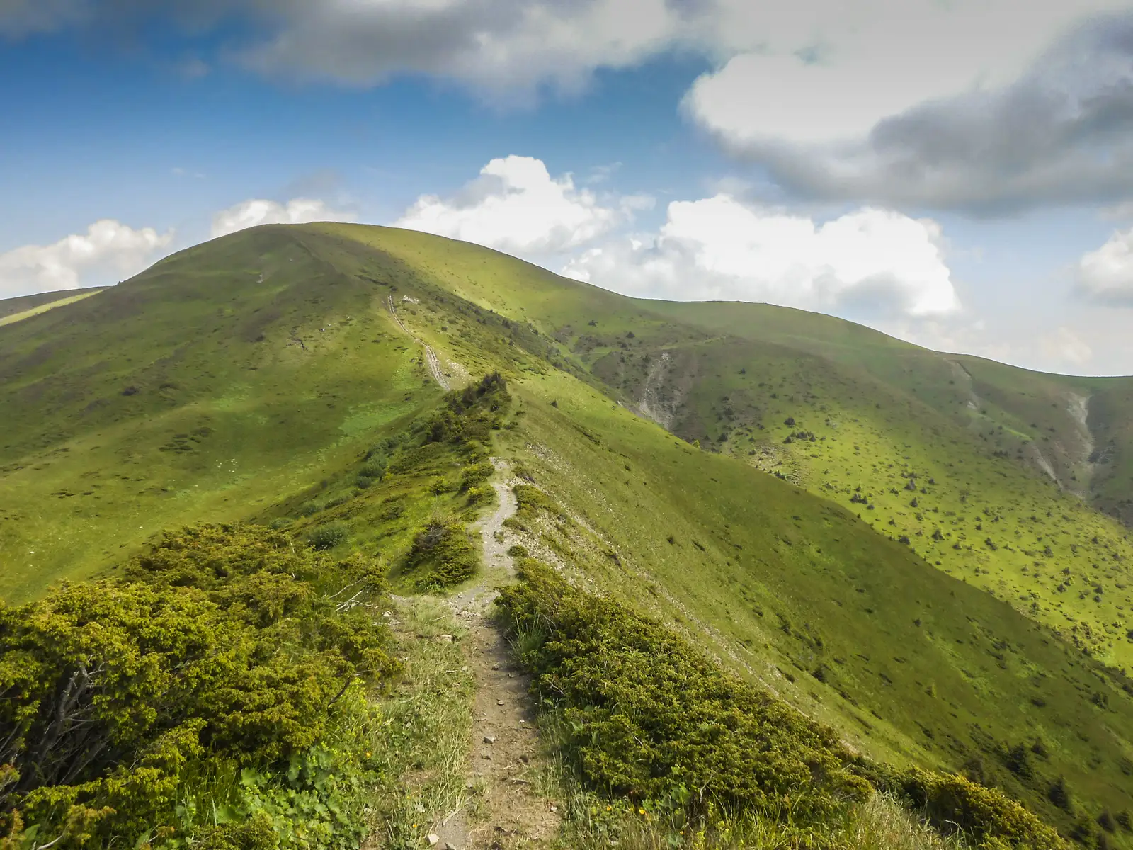 Predeal - Şaua Pietricica - Pasul Predeluş