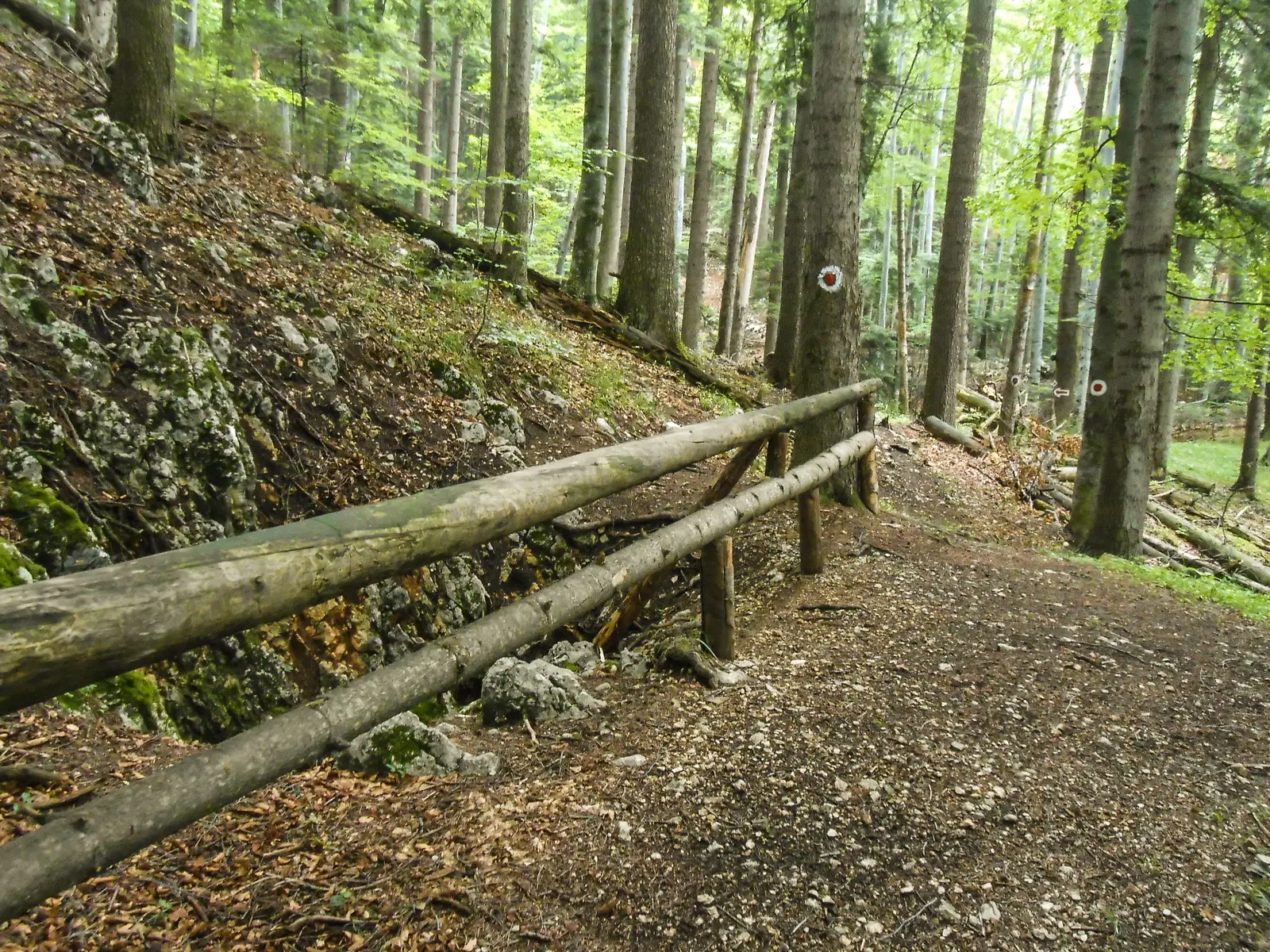 Poiana Braşov - Pârtia Lupului - Avenul Groapa de Aur - Valea Poienii
