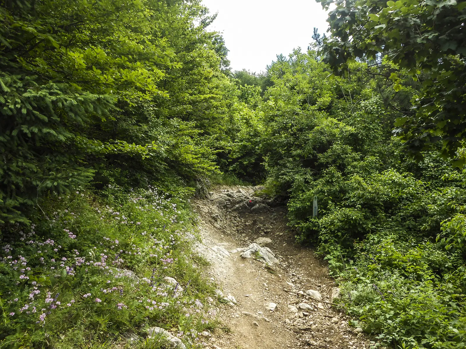 Pensiunea Valea Cetăţii - Poiana sub Padină - Peştera Râşnoavei