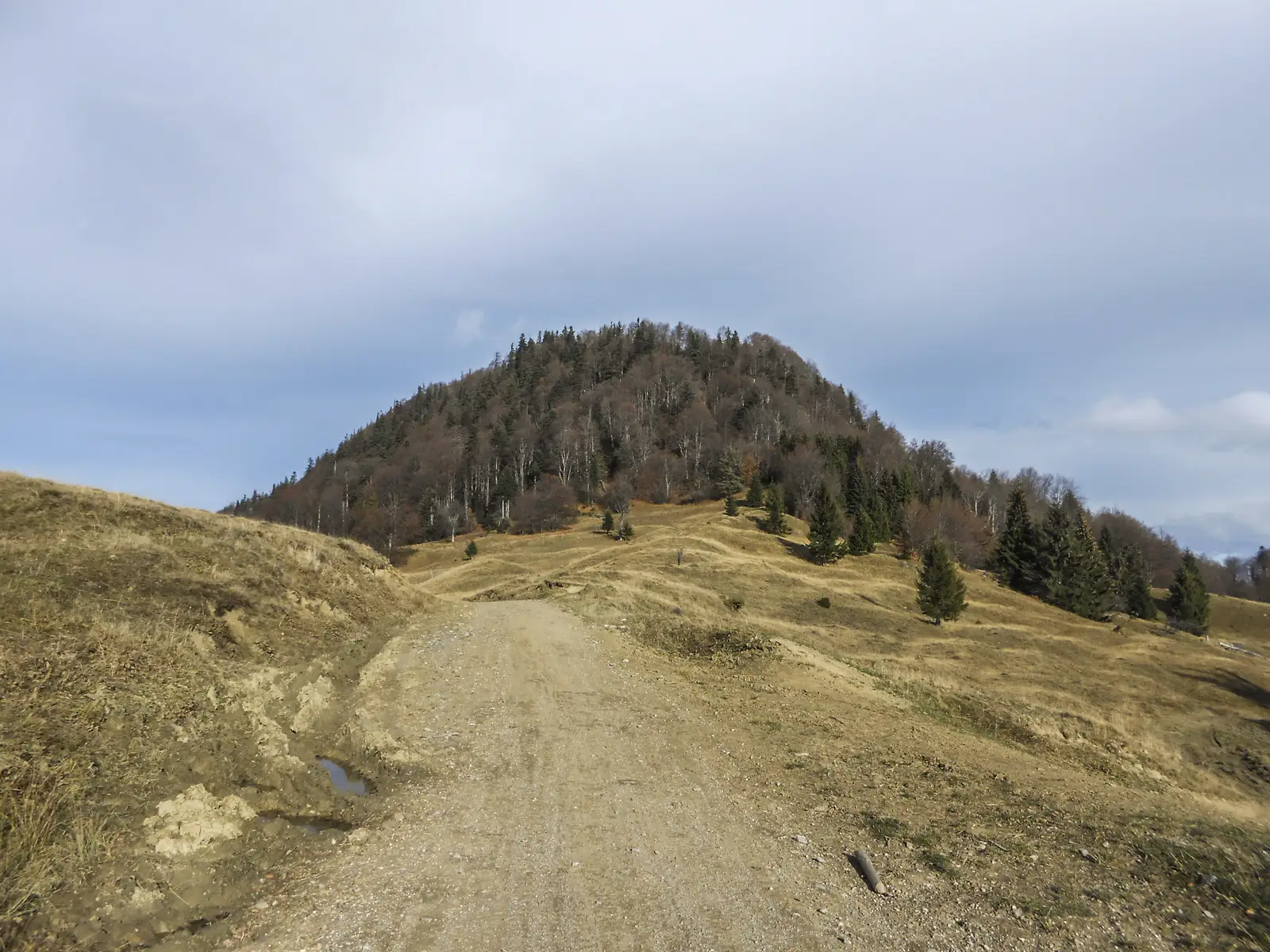 Săcele - Muchia Cărbunarilor - Cabana Renţea (unitate militară)