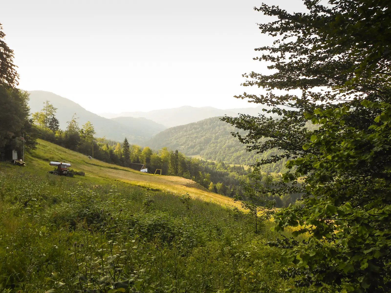 Pârâul Rece - Cabana Trei Brazi - Cheile Râşnoavei - Piscul Lung