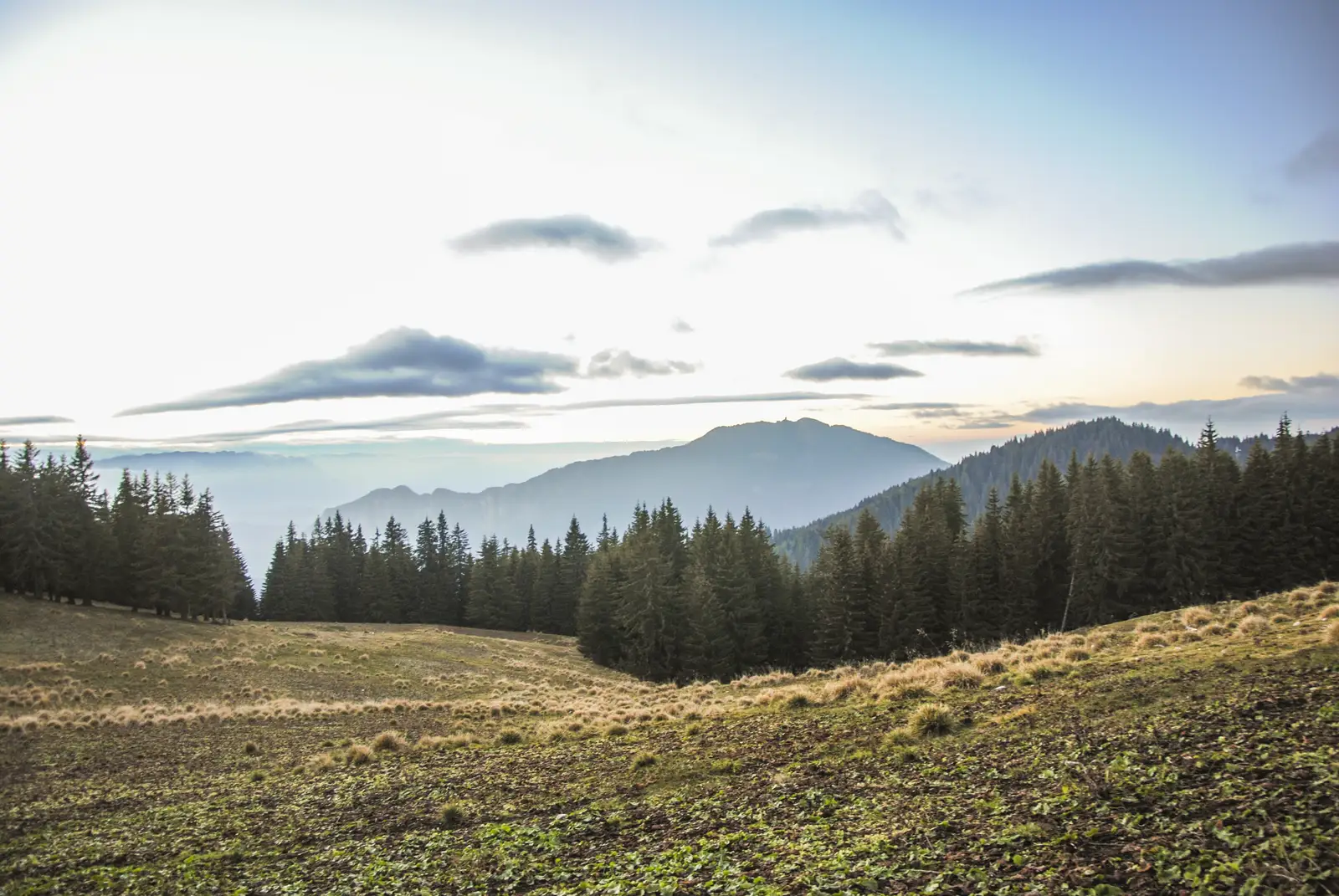Timişu de Sus - Cascada Tamina - Stâna sub Piatra Scrisă