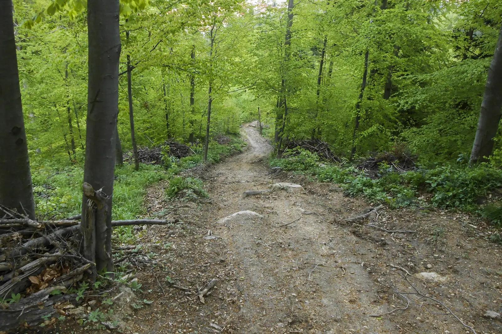 Braşov (cartier Noua) - Piscul Lung - Culmea Crucuru