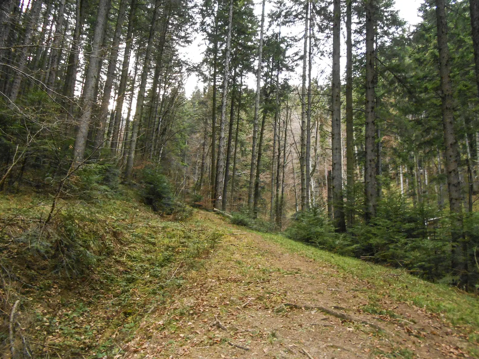 Braşov (cartier Dârste) - Cabana Bunloc - Cabana Renţea