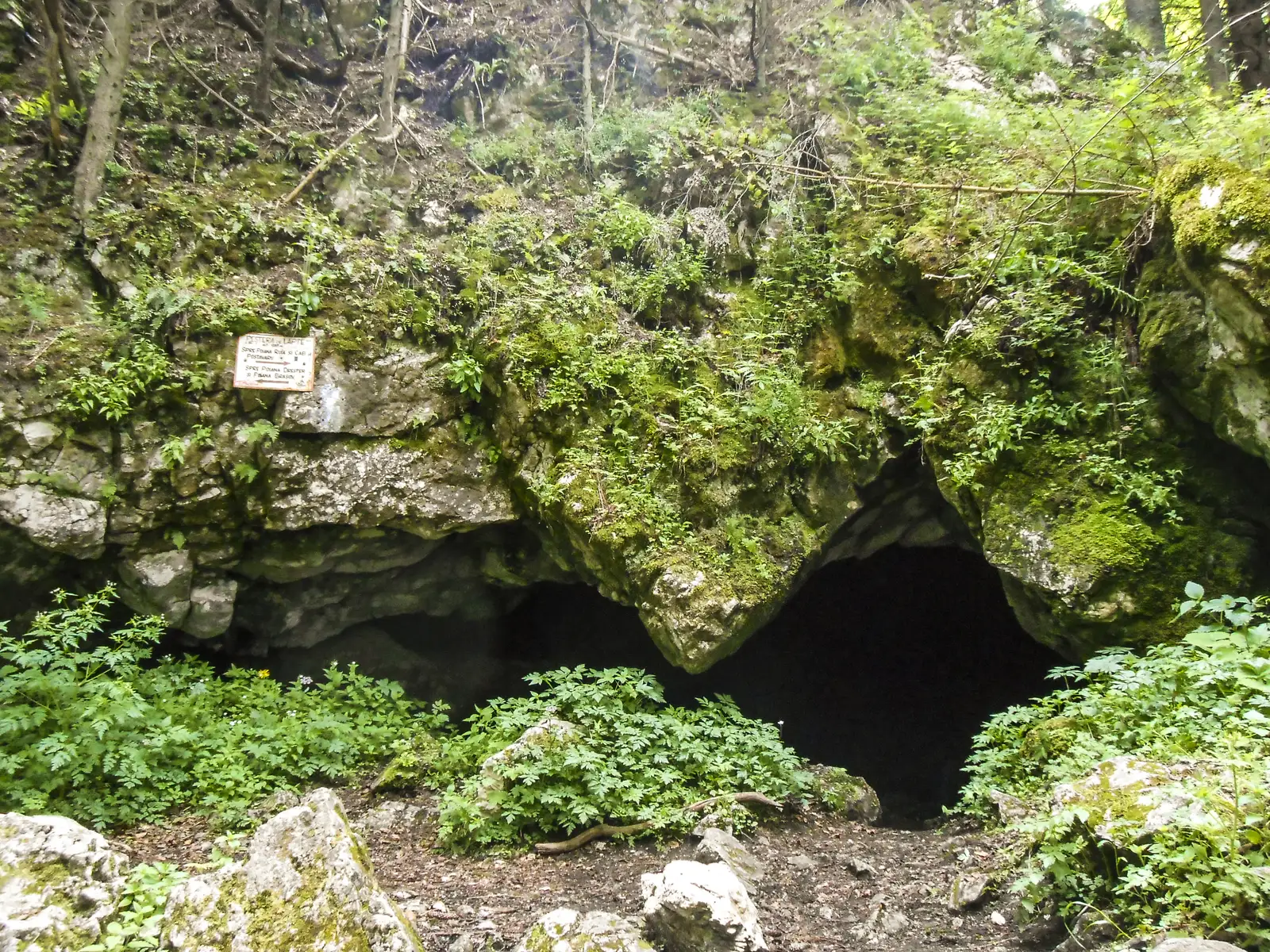 Poiana Braşov - Peştera de Lapte - traseul CR (Poiana Braşov)