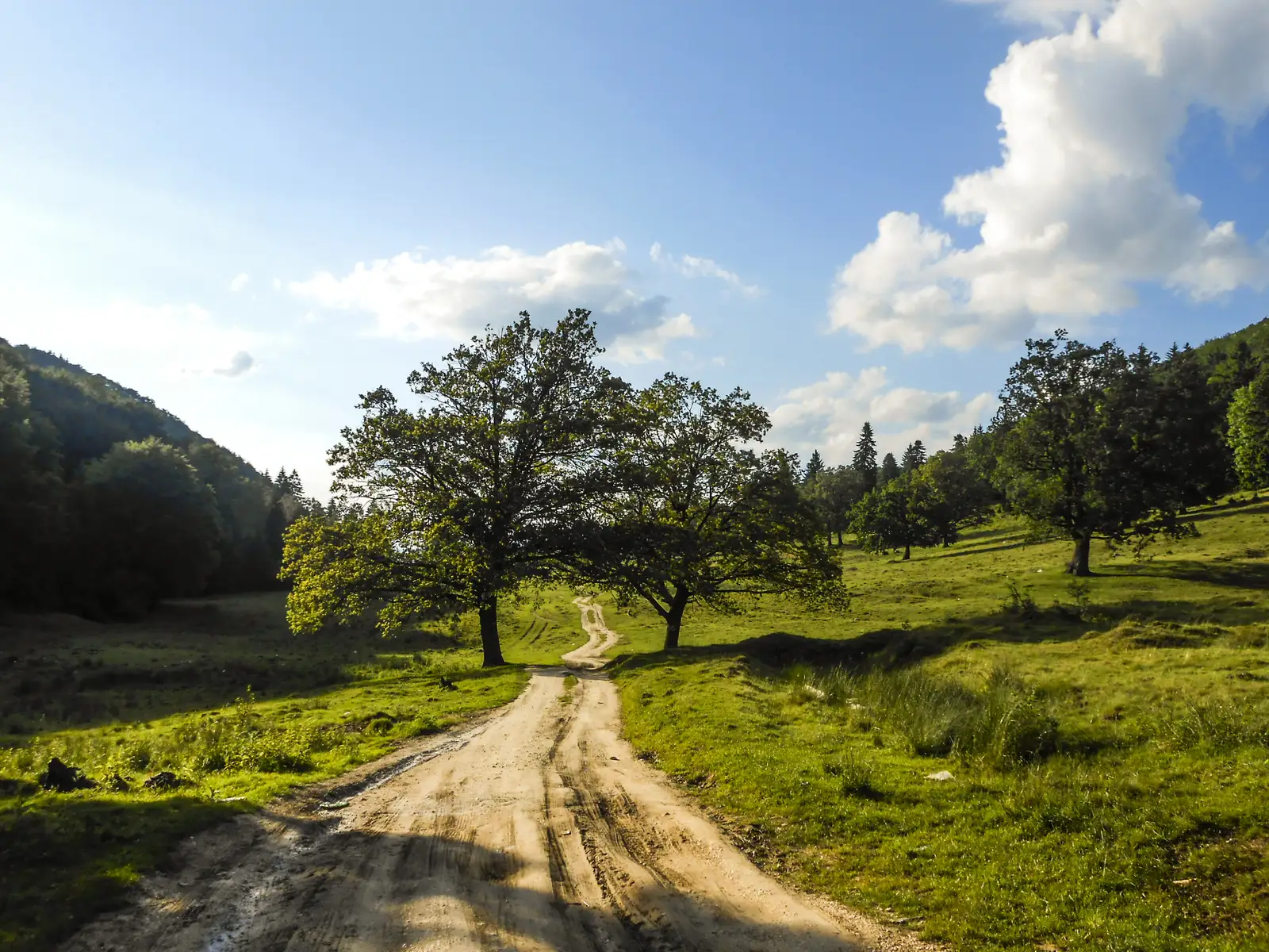 Cristian - Drumul lui Lexen - Poiana Braşov