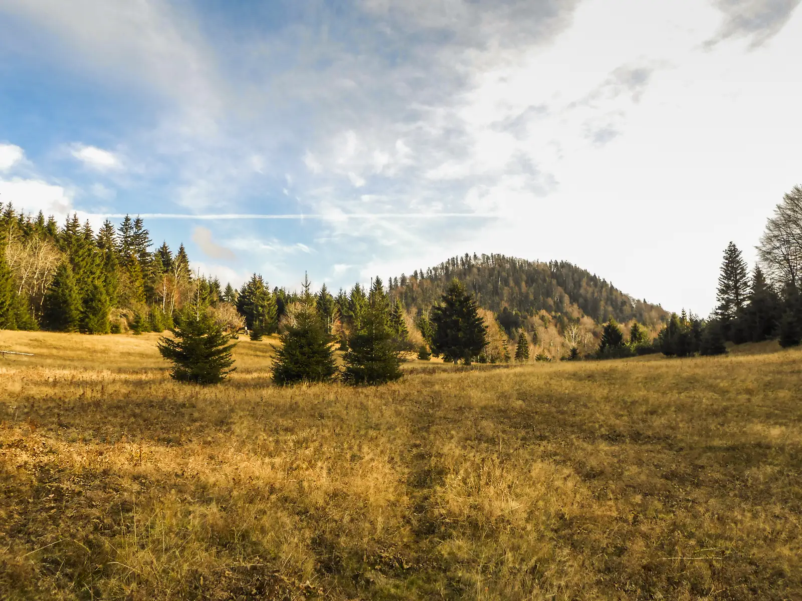 Săcele - Pârâul Morii - Valea Gârcin - Cabana Renţea