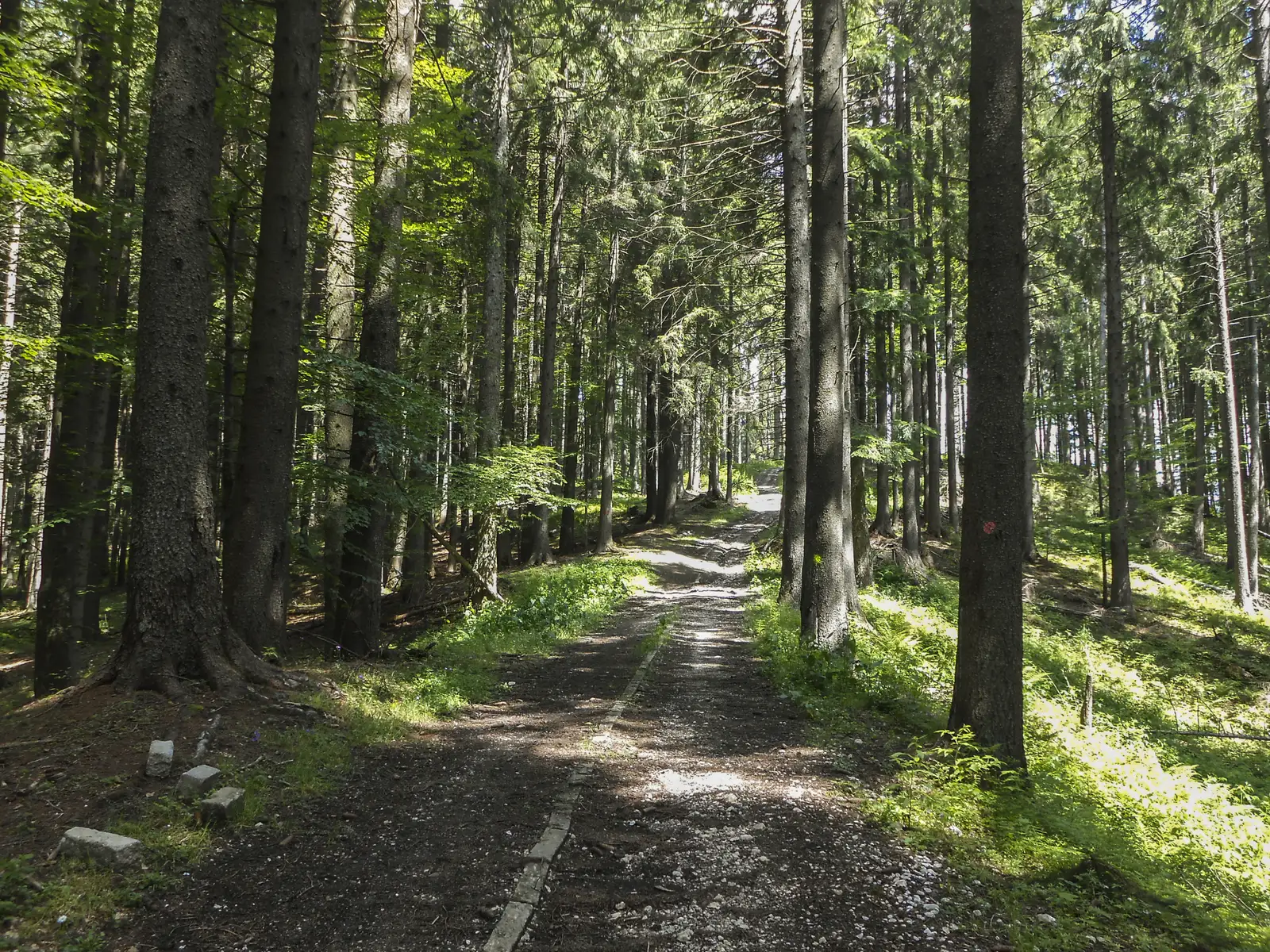 Valea Azugii - Drumul lui Ceauşescu - La Susai Mountain Resort