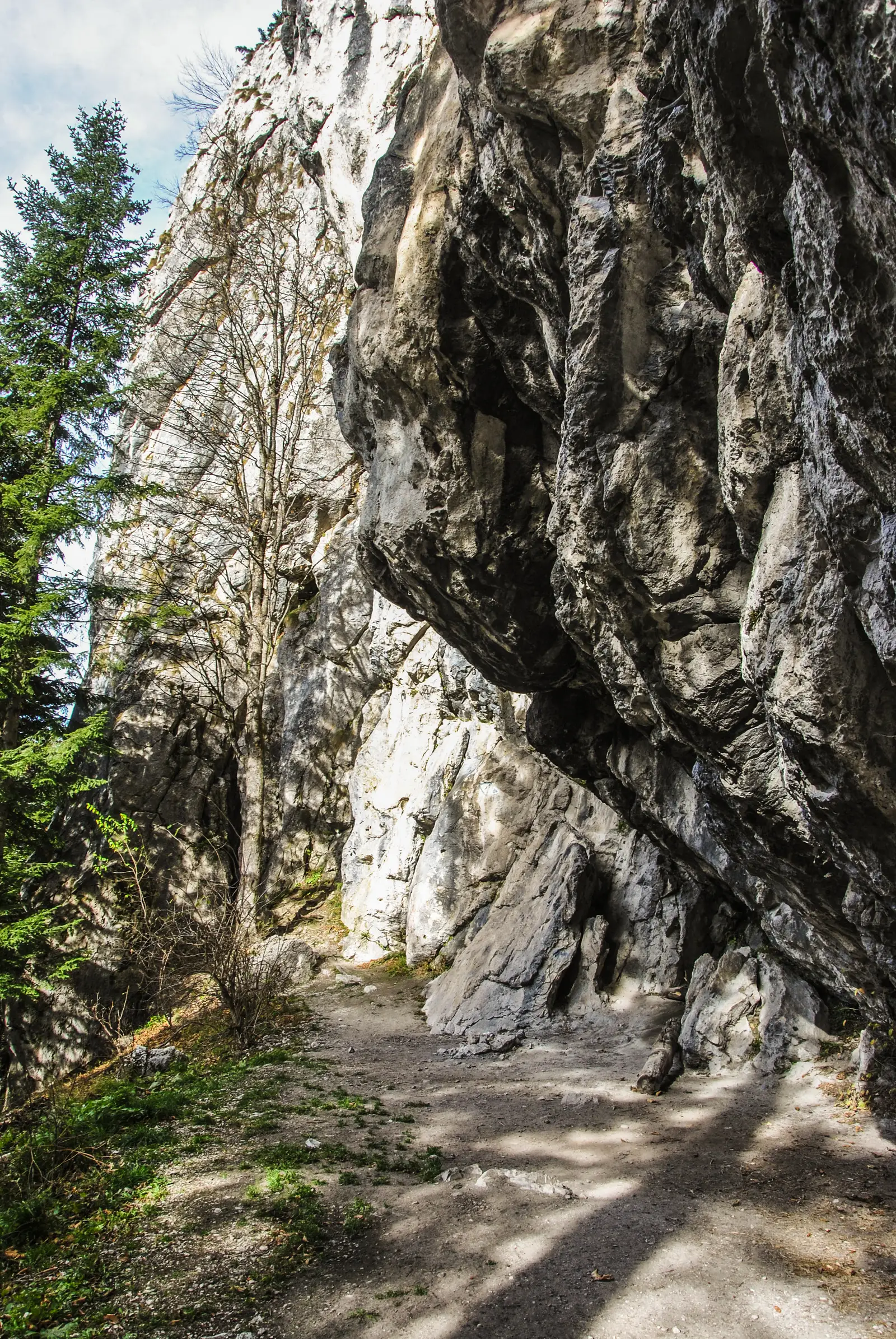 Sub intrare Canion 7 Scări - Prăpastia Urşilor - Drumul Familiar