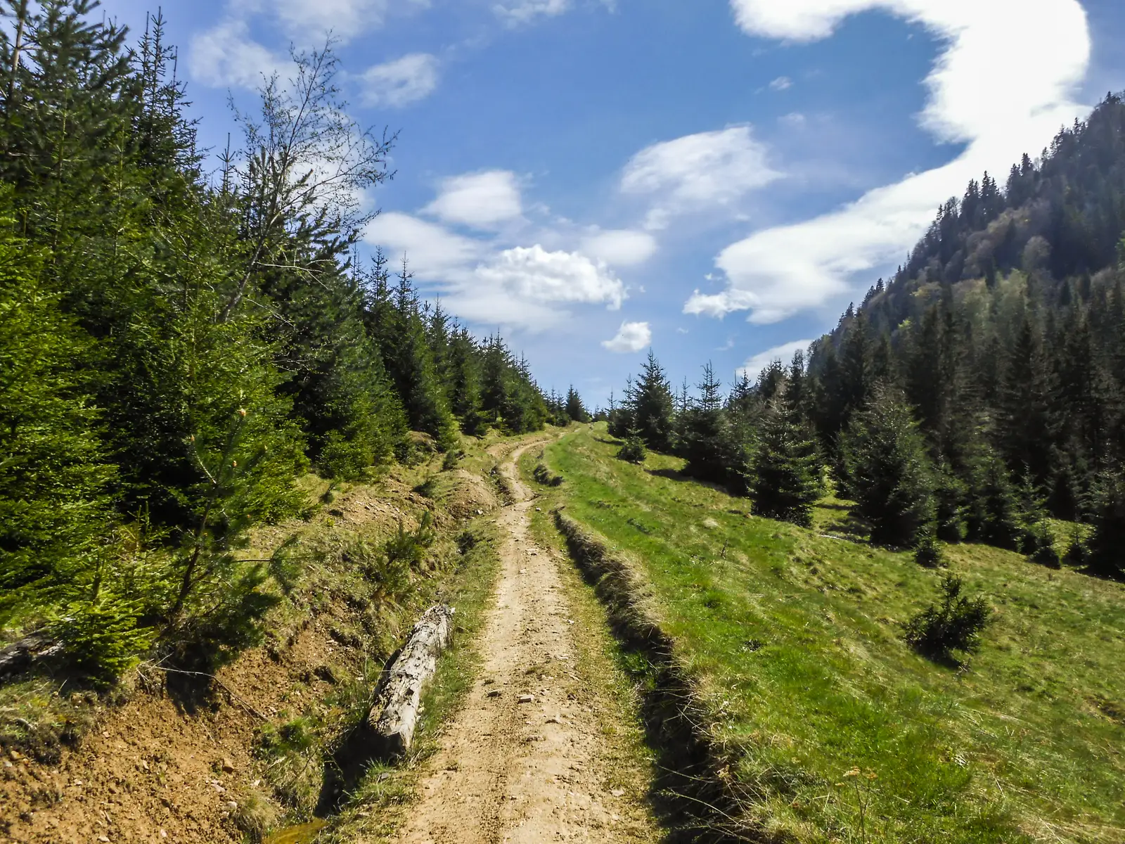 Săcele - Valea Gârcin - Cabana Piatra Mare