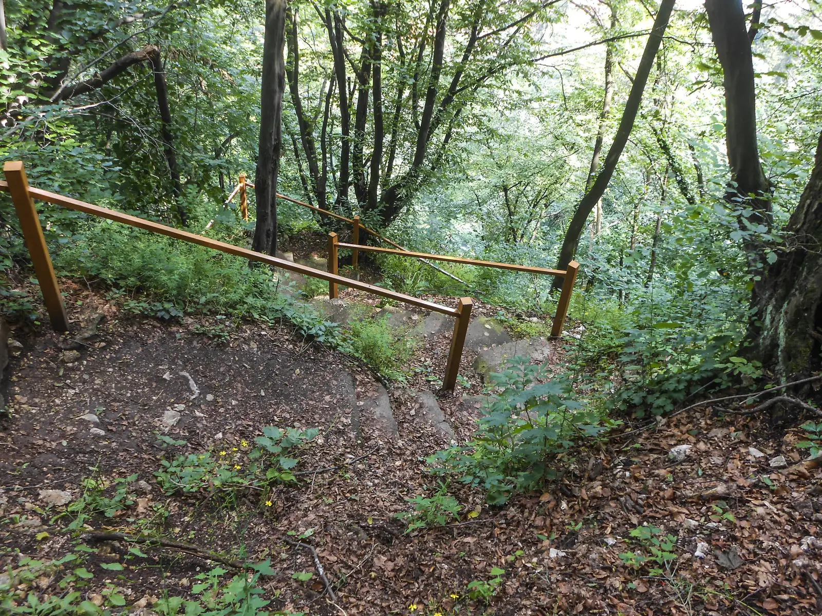 Braşov - Vf. Tâmpa - Valea Cetăţii