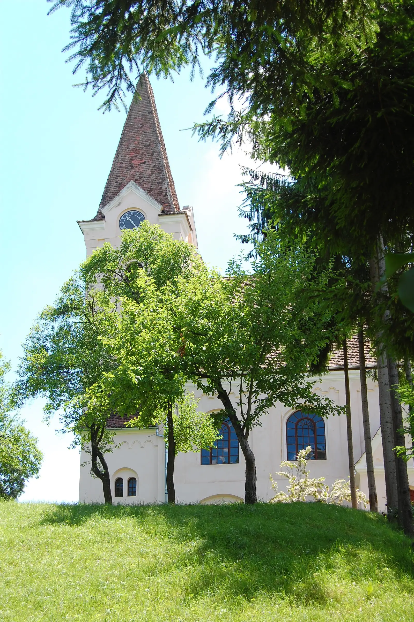 Criş - Pădurea Heţeu - Dealul Făgetului - Criş