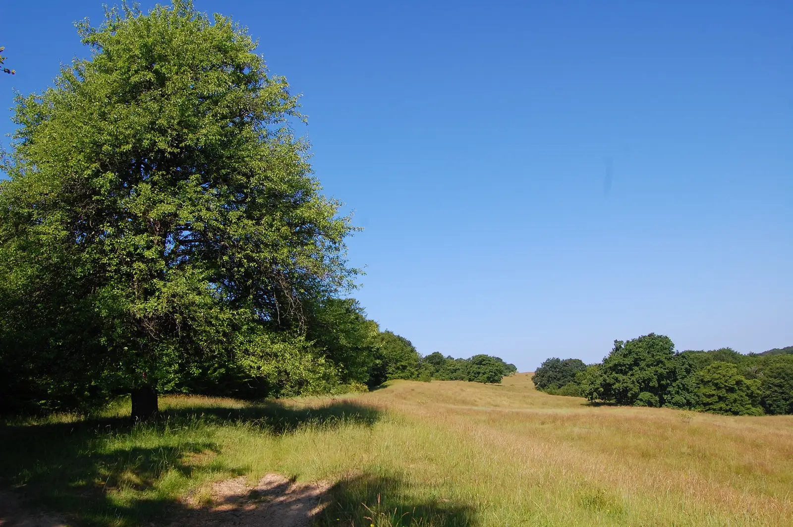 Mălâncrav - Hula Crişului - Mălâncrav