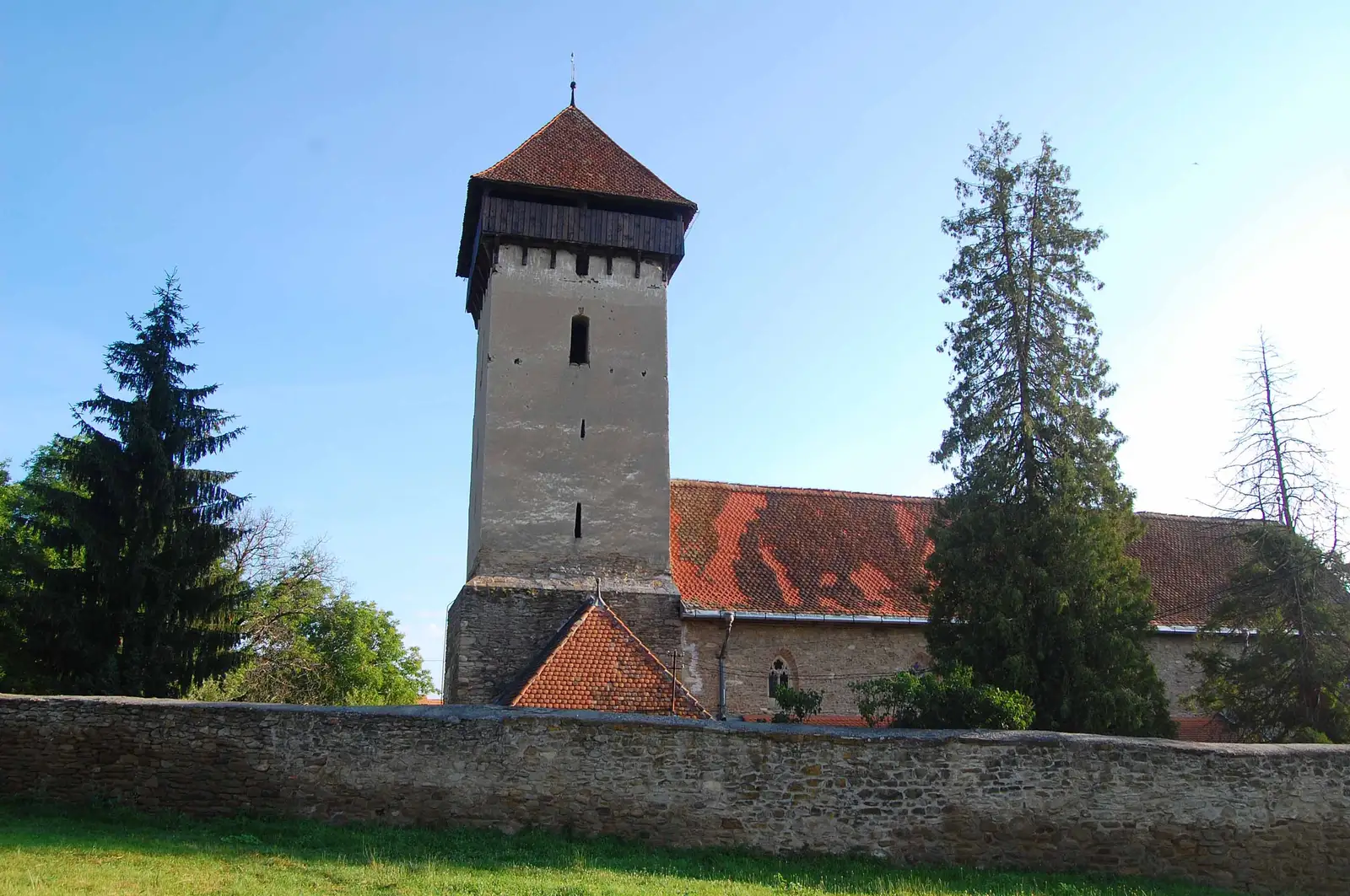 Nou Săsesc - Dealul lui Fetea - Copşa Mare - Nou Săsesc