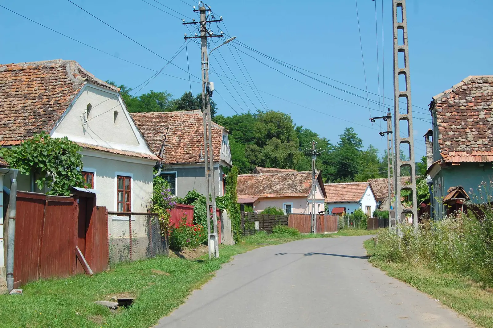 Pelişor - Dealul Ciorii - Dealul Zlagna - Vecerd - Pelişor