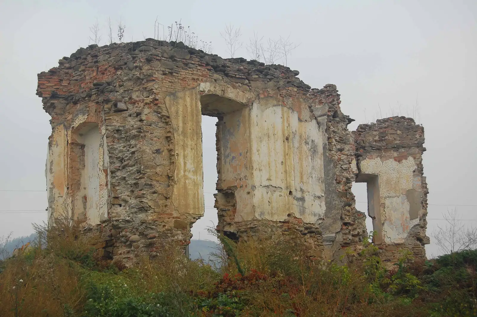 Sighişoara - Şapartoc - Angofa - Sighişoara