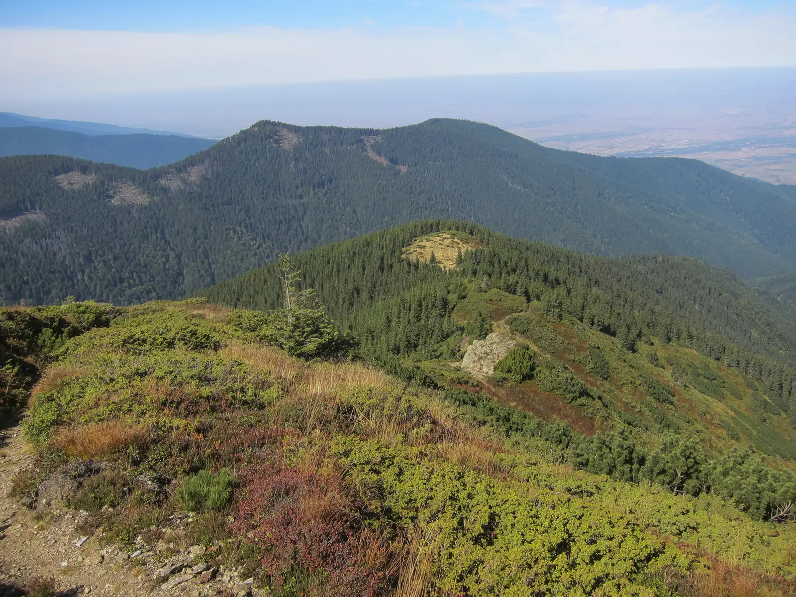 Recea - Piciorul Bătrân - Culmea Scoarţa