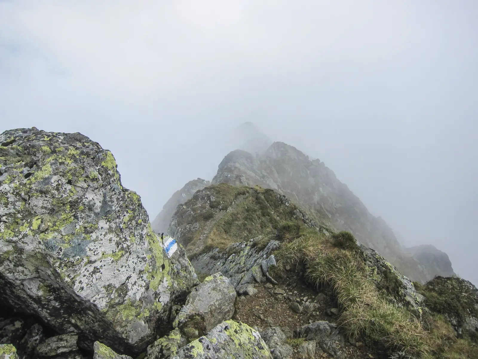 Cabana Negoiu - Vf. Şerbota