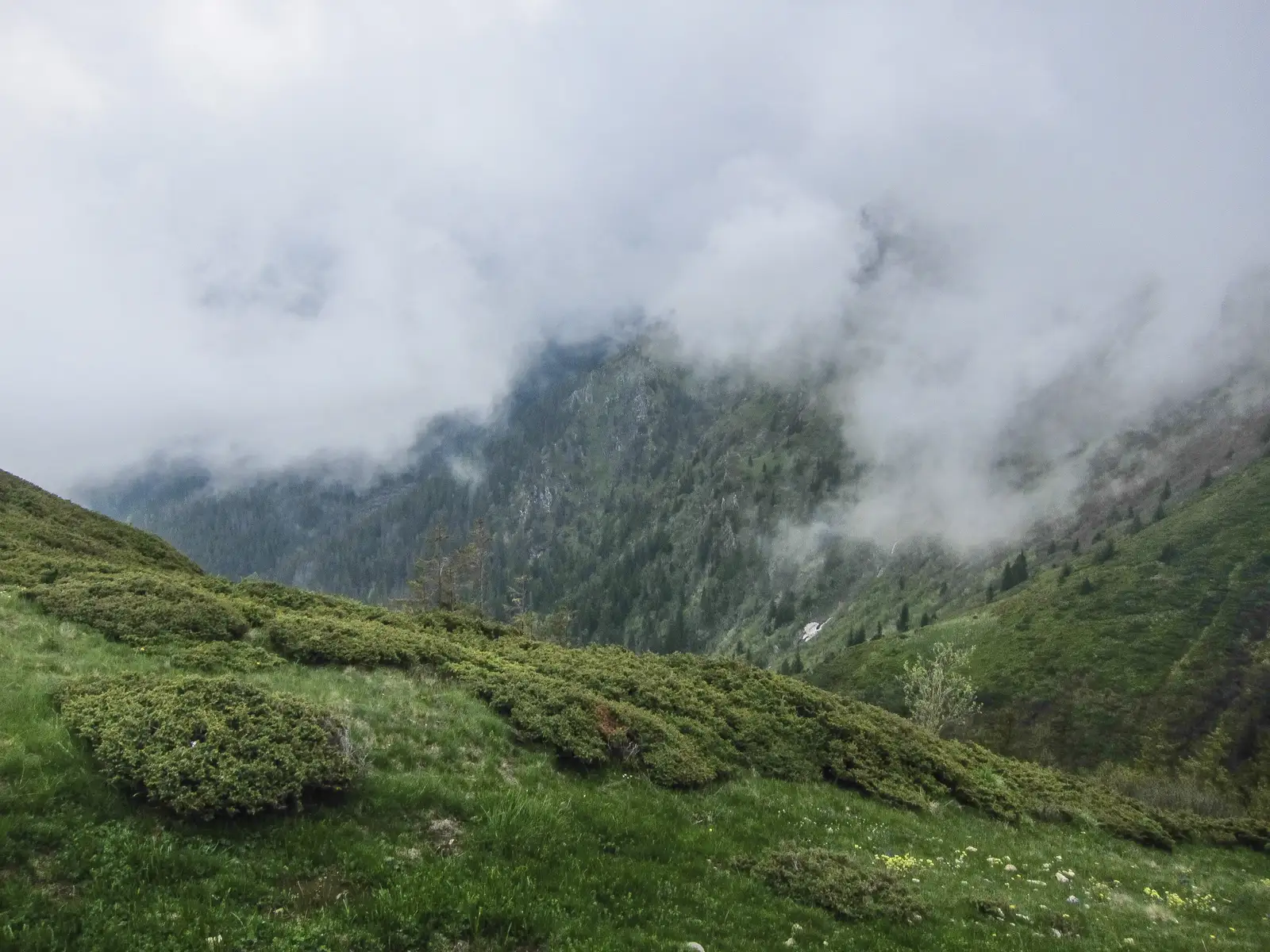 V. Avrigului - Cabana Suru - creasta principală