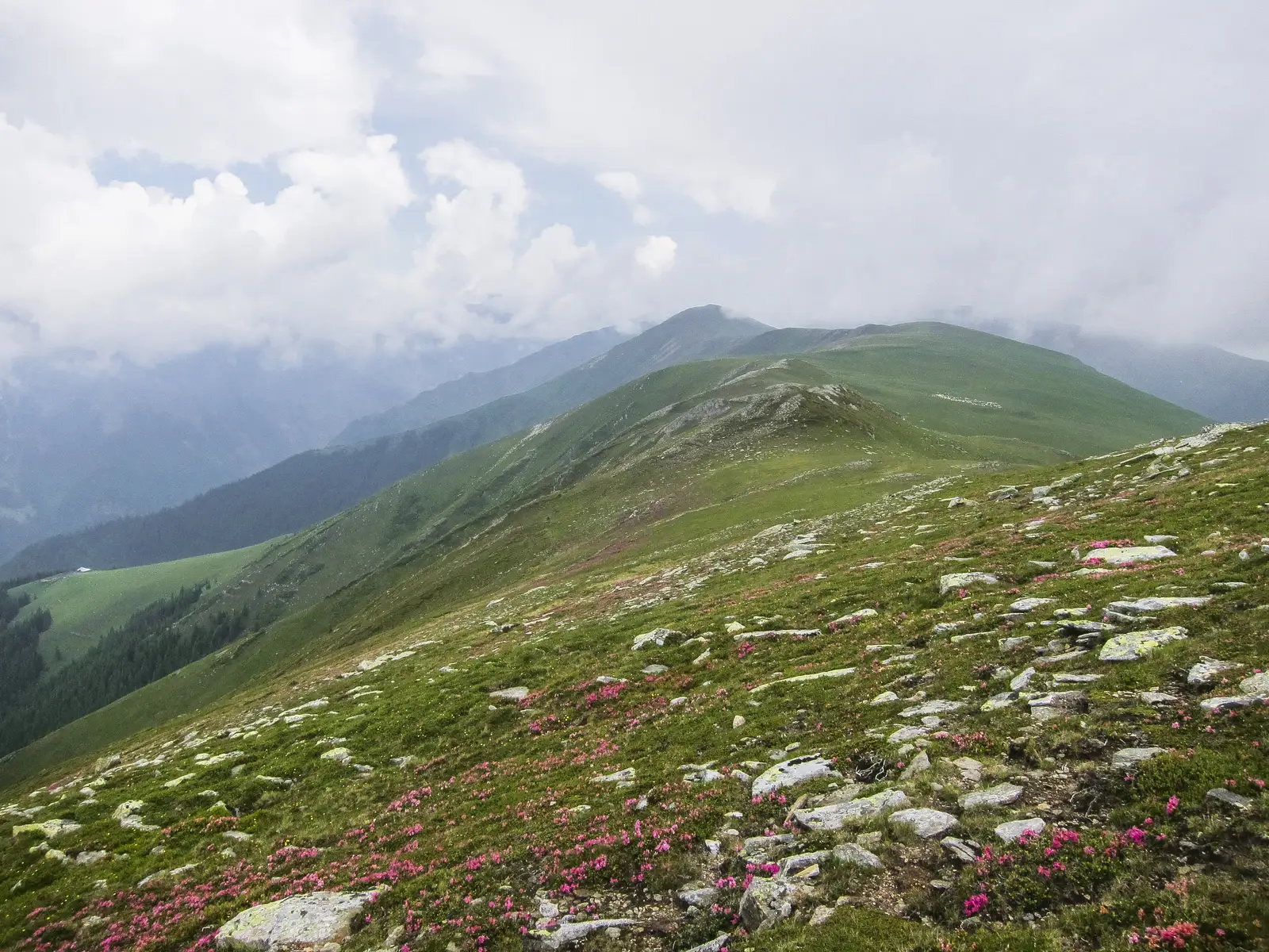 V. Buda - Culmea Jorzea - Transfăgărăşan