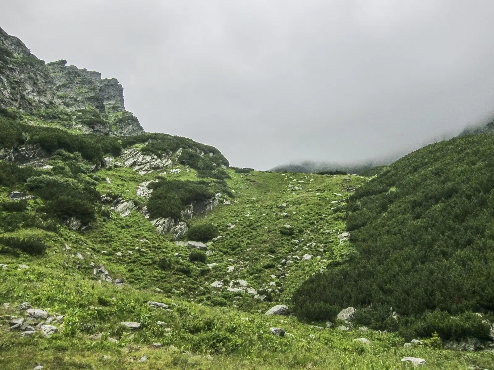 Complexul Turistic Piscul Negru - L. Călţun - Vf. Negoiu - Vf. Lespezi - Piscul Negru