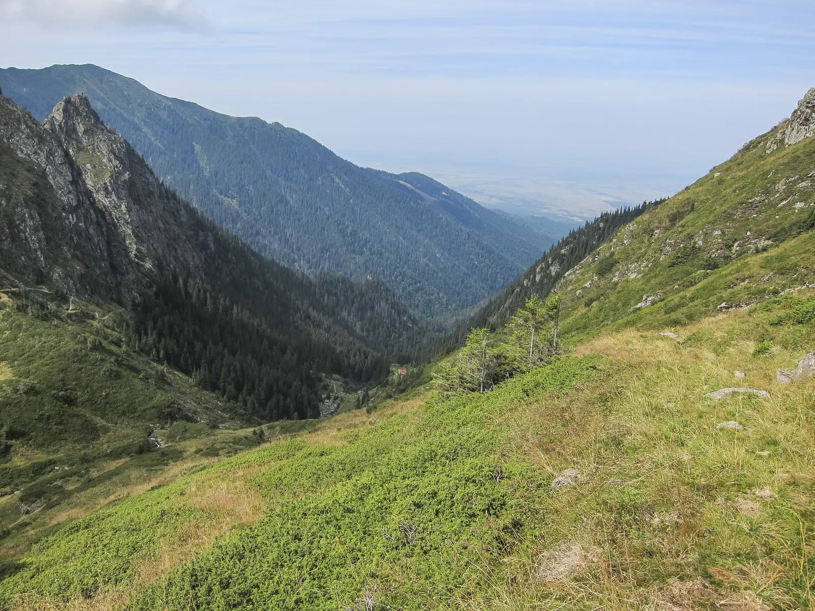 Cabana Podragu - Şaua Podragului-Varful Vistea Mare-Varful Moldoveanu