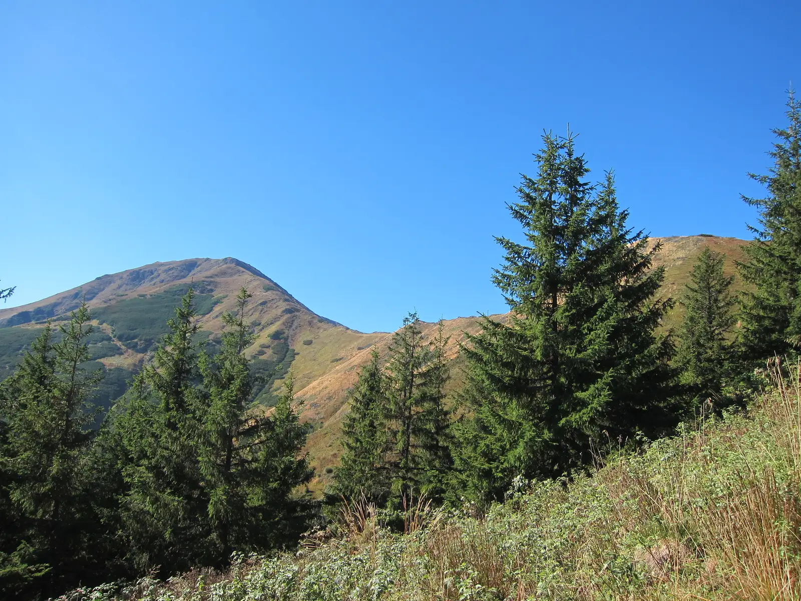 V. Sebeşului - Curmătura Ţiganului