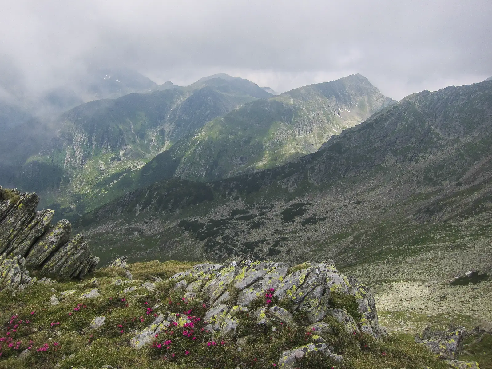 Complexul Turistic Piscul Negru - Vf. Lespezi - Complexul Turistic Piscul Negru