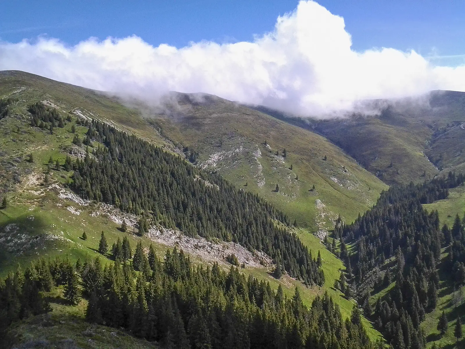 Câinenii Mici - M. Zănoaga - creasta principală