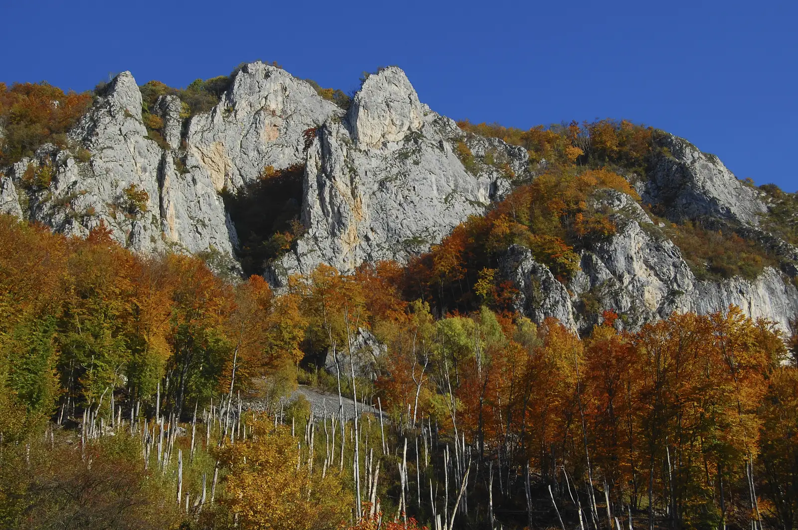 Lunca Arieșului - Poiana Șipote - Peștera Huda lui Papară