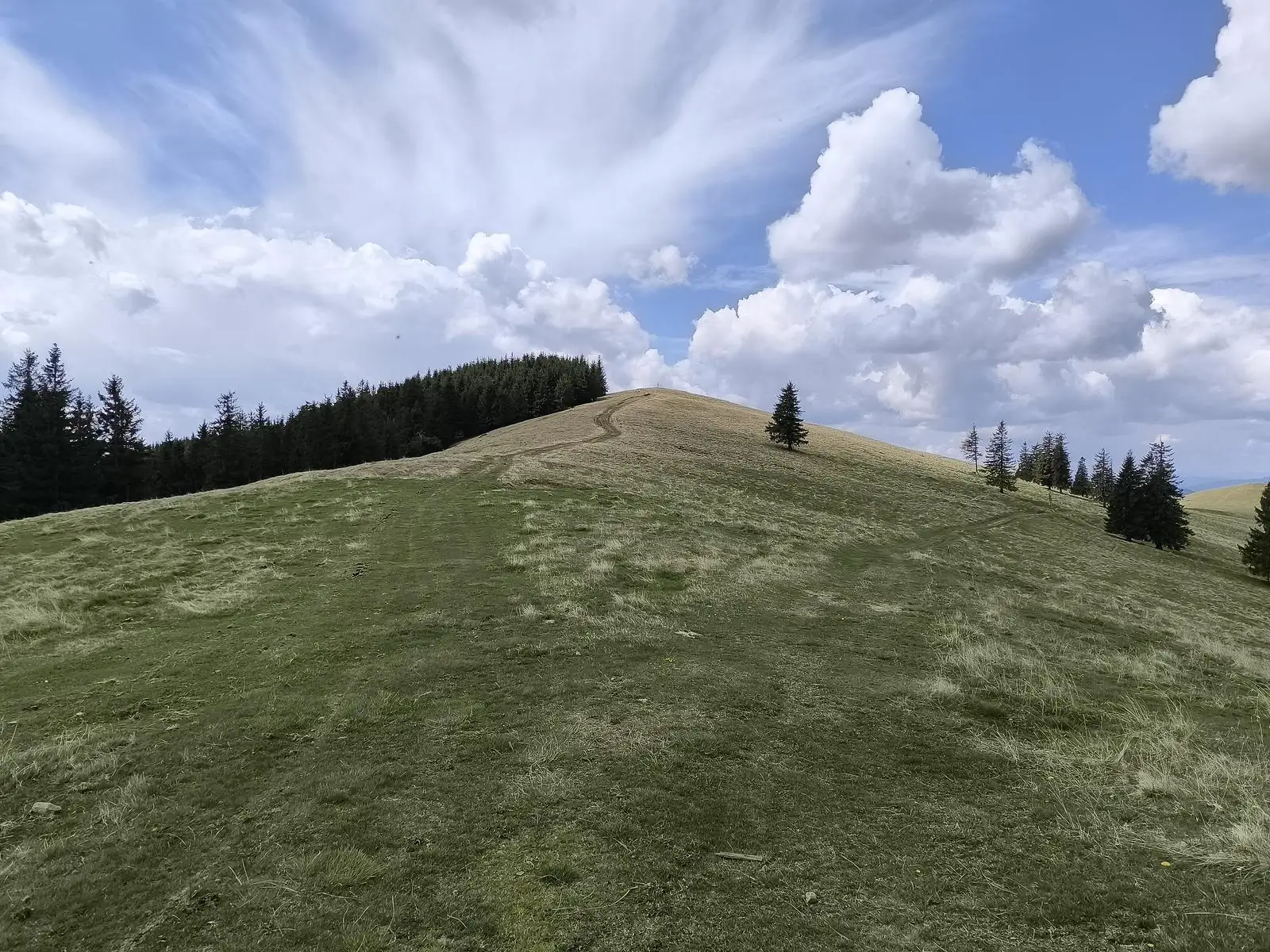 Muntii Stanisoarei (Ziua 1 - Pasul Petru Voda - Vf. Bivolul)