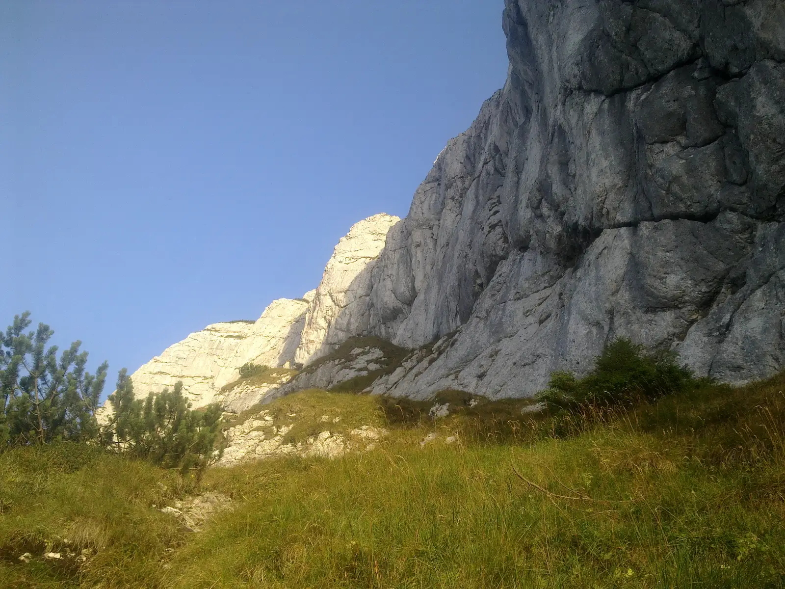 Podul Călineţului - Brâul Ciorânga Mare - Vf. Ascuţit