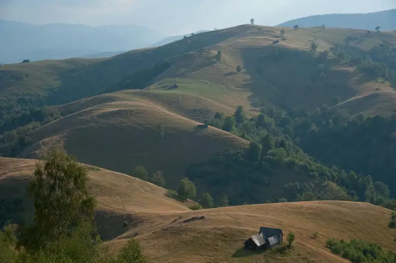 Circuit Rășinari - Dealul Fraga - Vf. Runcului (Dosu Albului) - Dealul Derjani - Vf. Drăguț