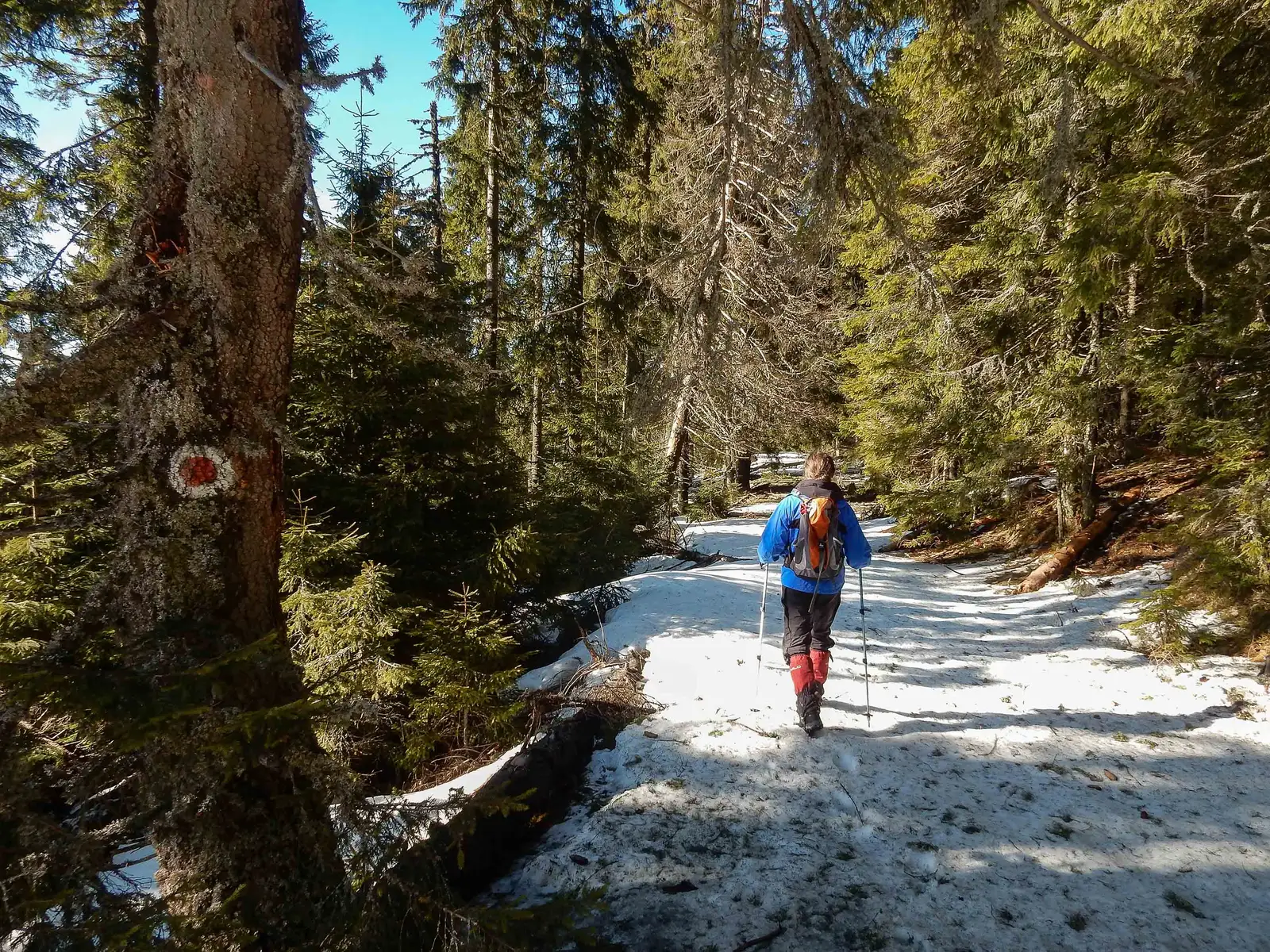 Casa de Oaspeţi Podina - Vârful Petreasa - Casa de Oaspeţi Podina
